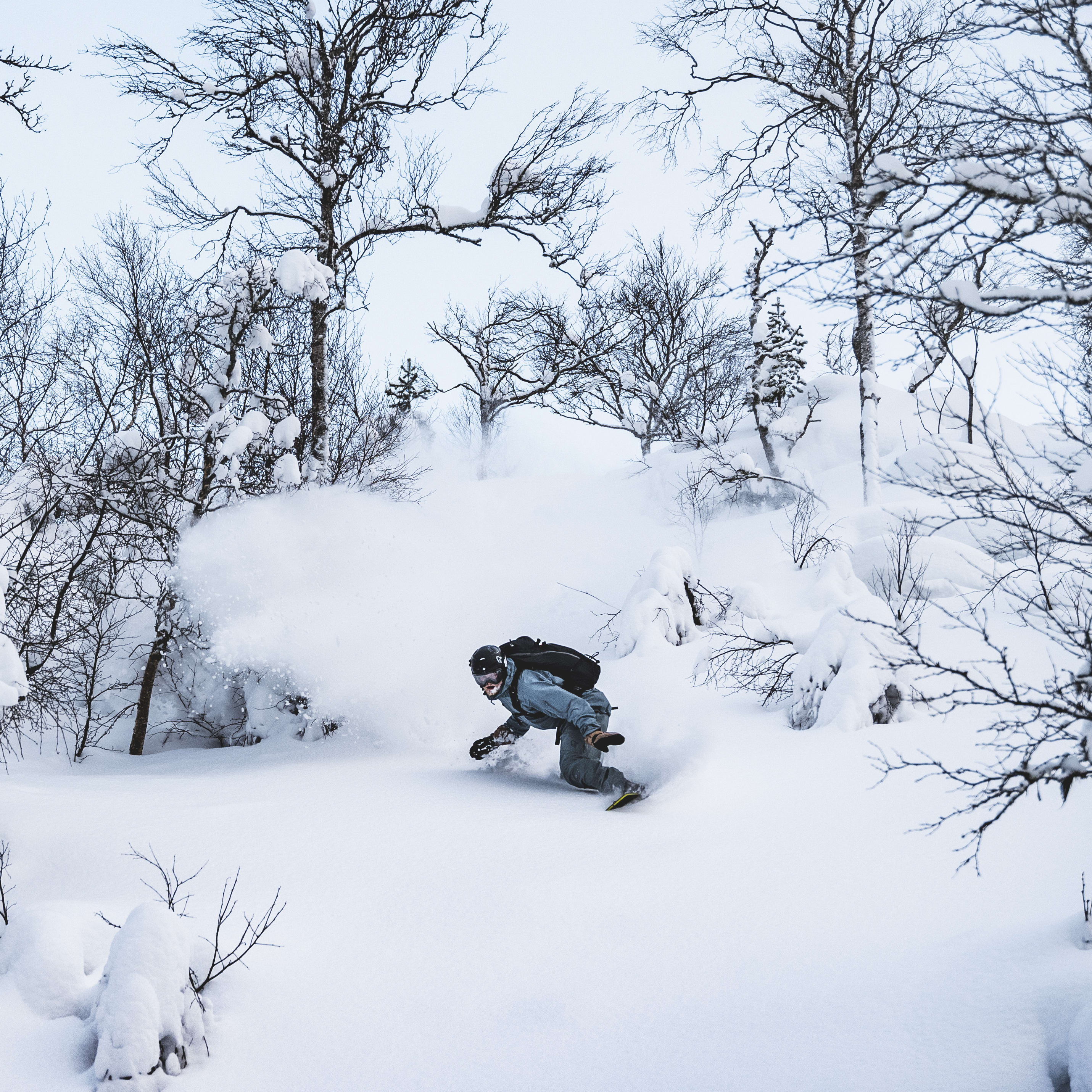 A snowboarder in Norrøna gear carves through a snowy forest.