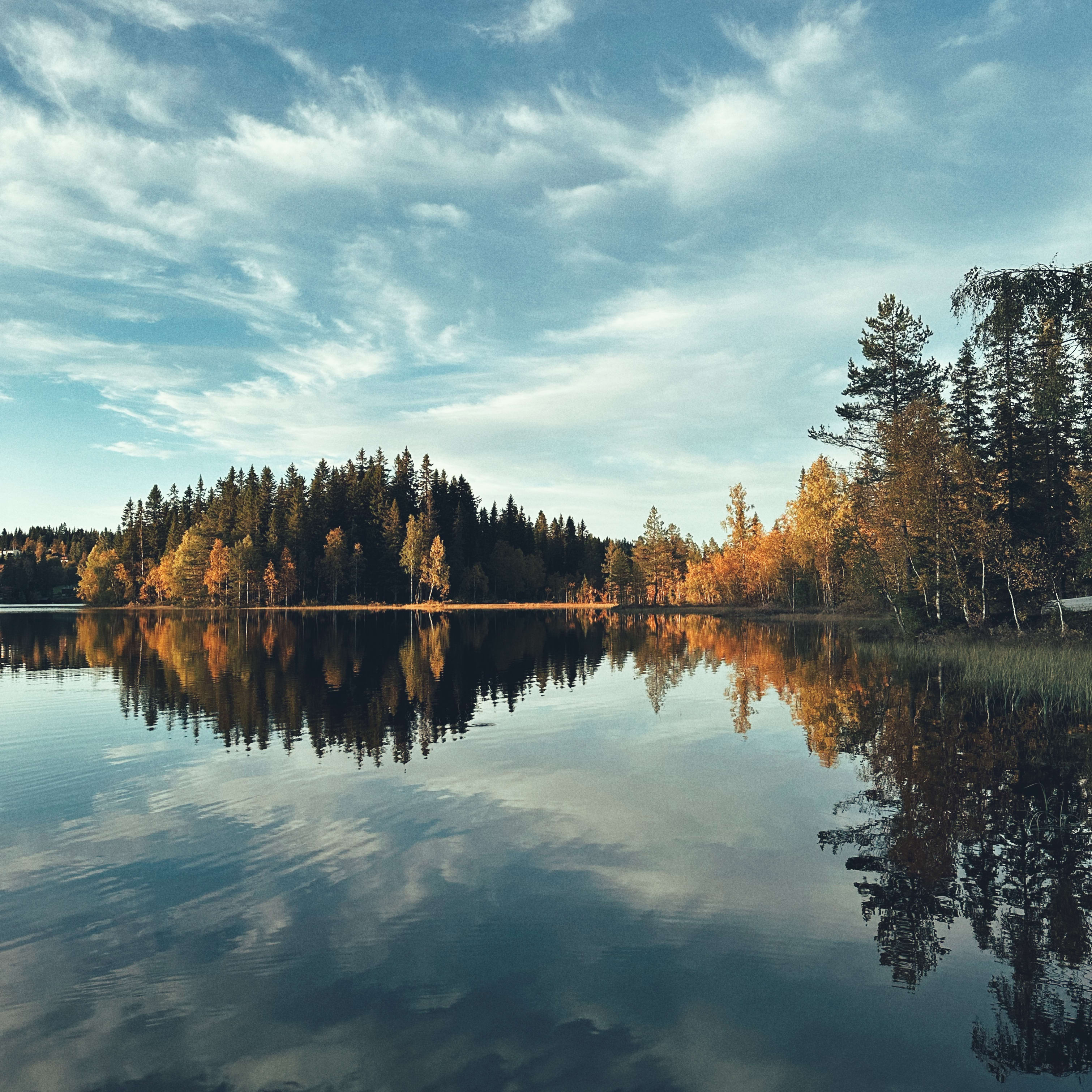 A still lake reflects the cloudy sky and trees lining the shore. 
