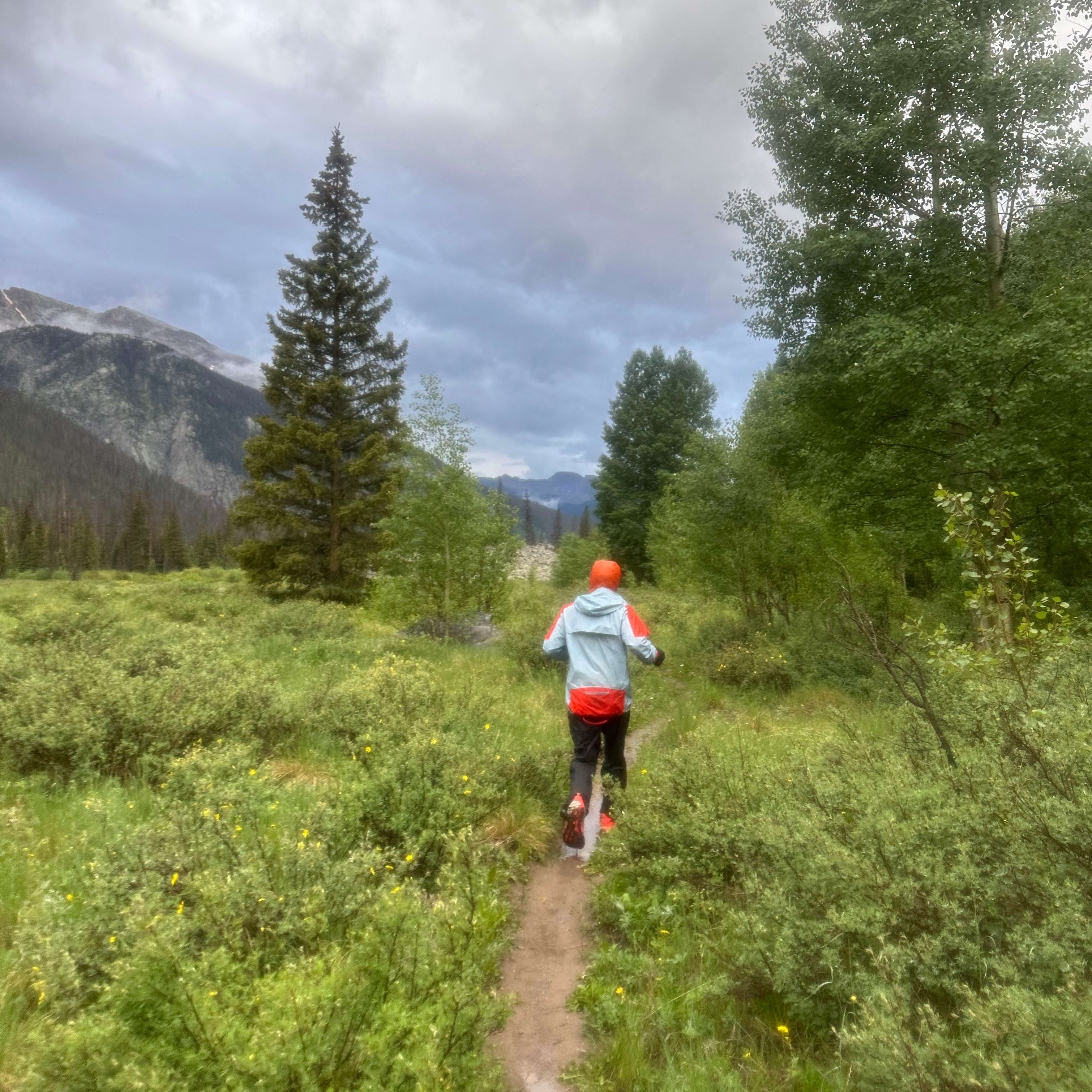 A person in a Norrøna jacket walks on a trail through a green forest with a mountain in the distance. 
