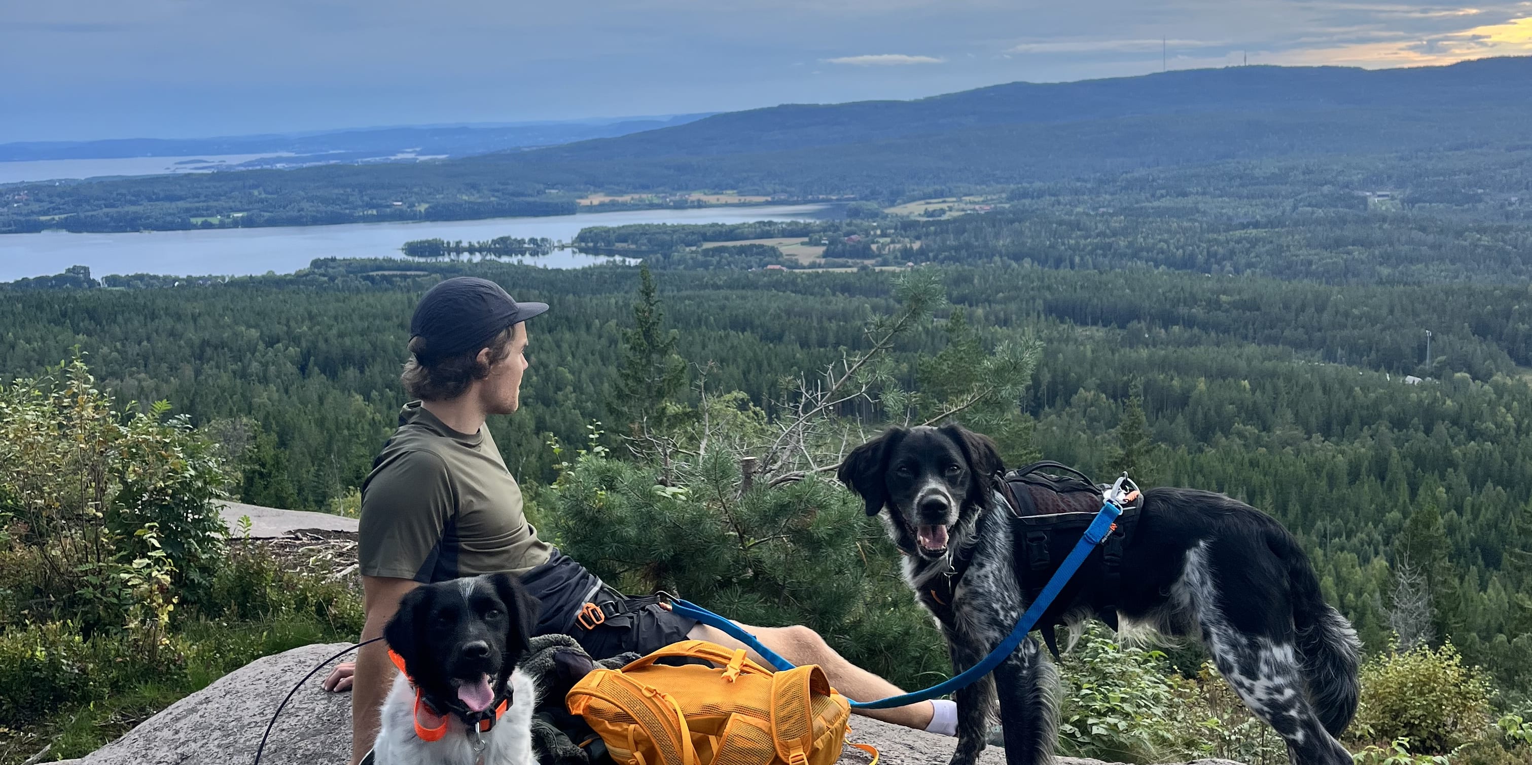 A man and two black and white dogs are sitting on a large rock, looking out at a view of a forest and a lake. The sky is mostly cloudy, but there are some patches of blue. The man is wearing a green shirt and the dogs are wearing harnesses.