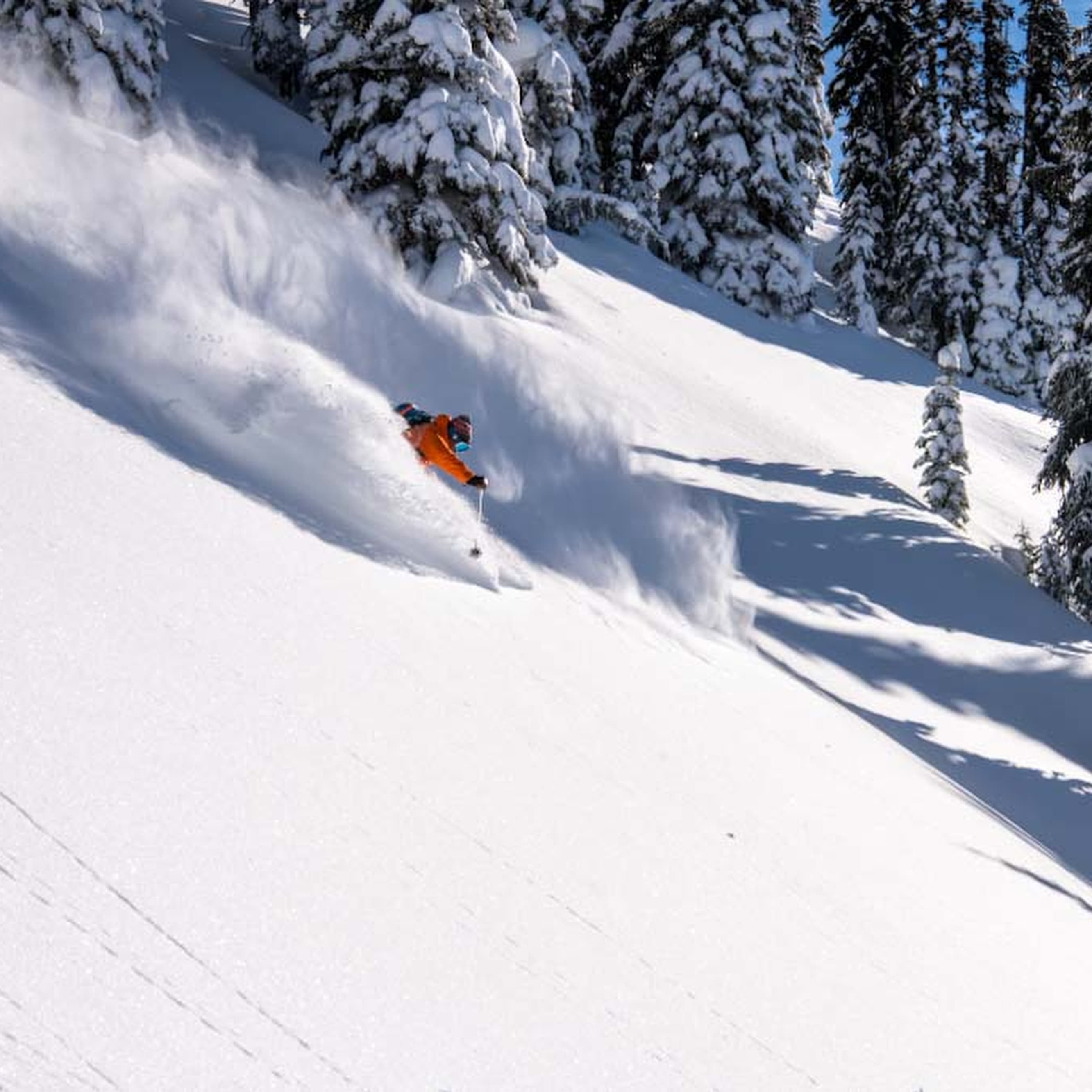 A skier in an orange Norrøna jacket carves down a snowy mountain slope, surrounded by snow-covered trees.
