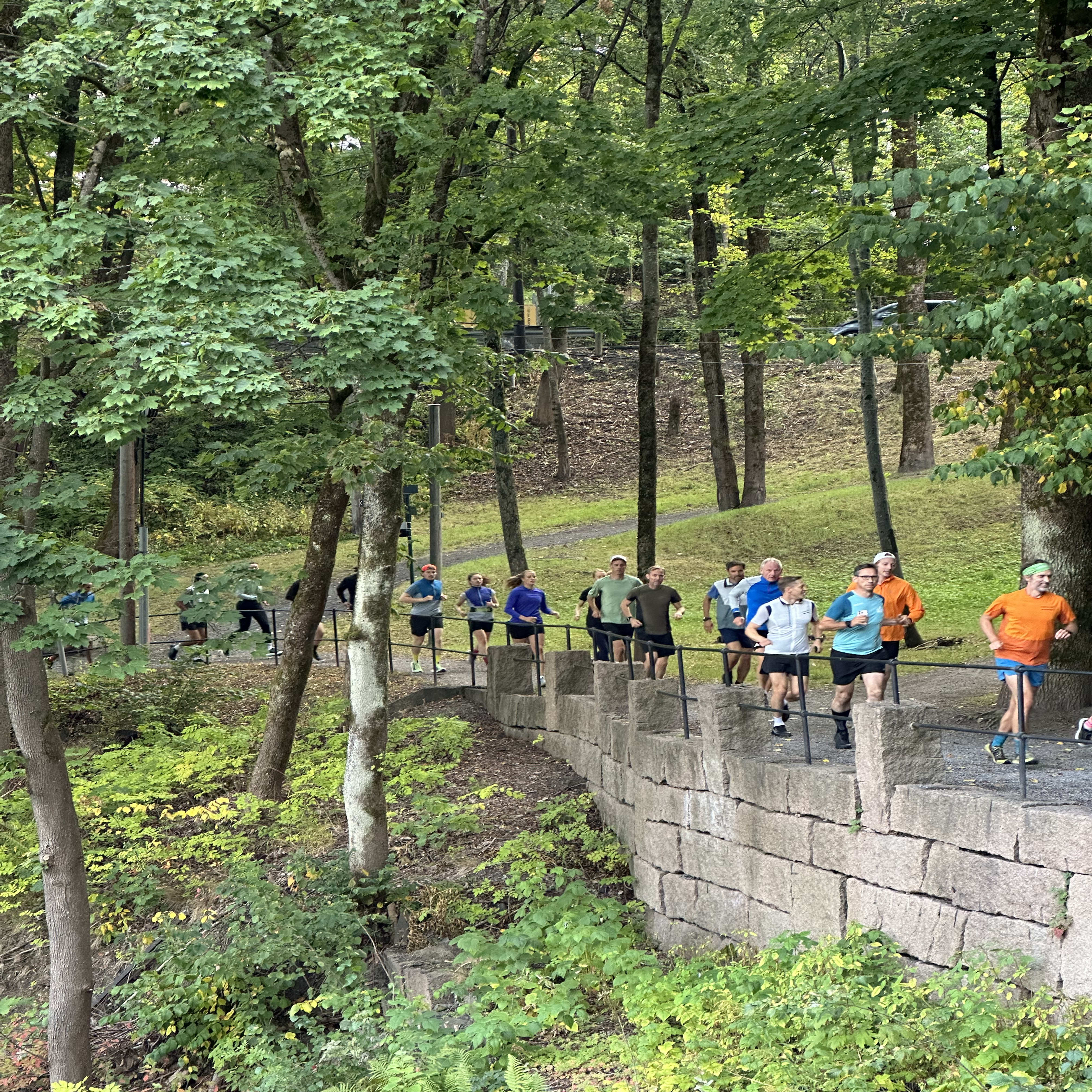 A group of people run up stone steps in a wooded area. One runner wears an orange Norrøna shirt.