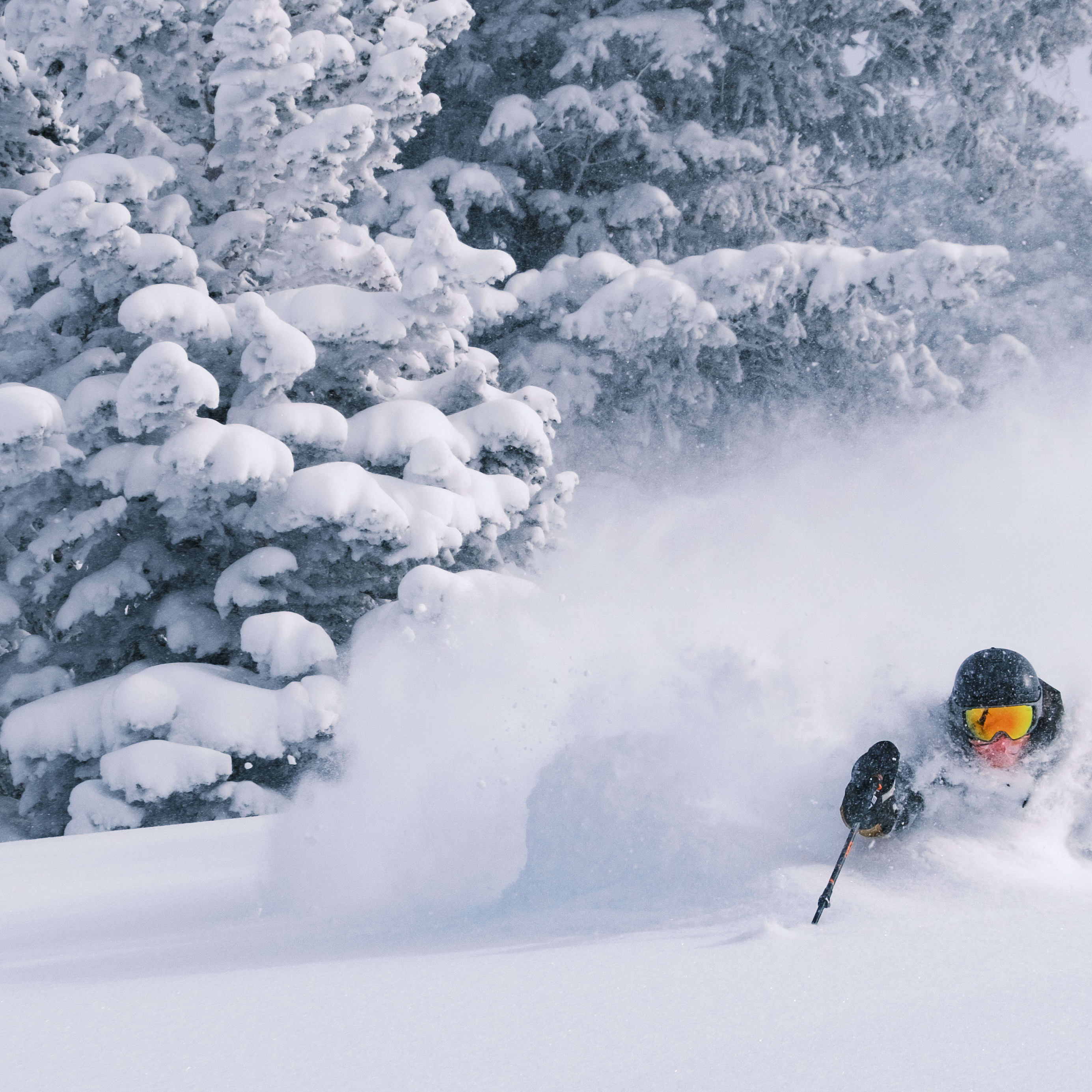 A skier in a Norrøna jacket, wearing a helmet and goggles, skis through deep powder snow in a snowy forest. 
