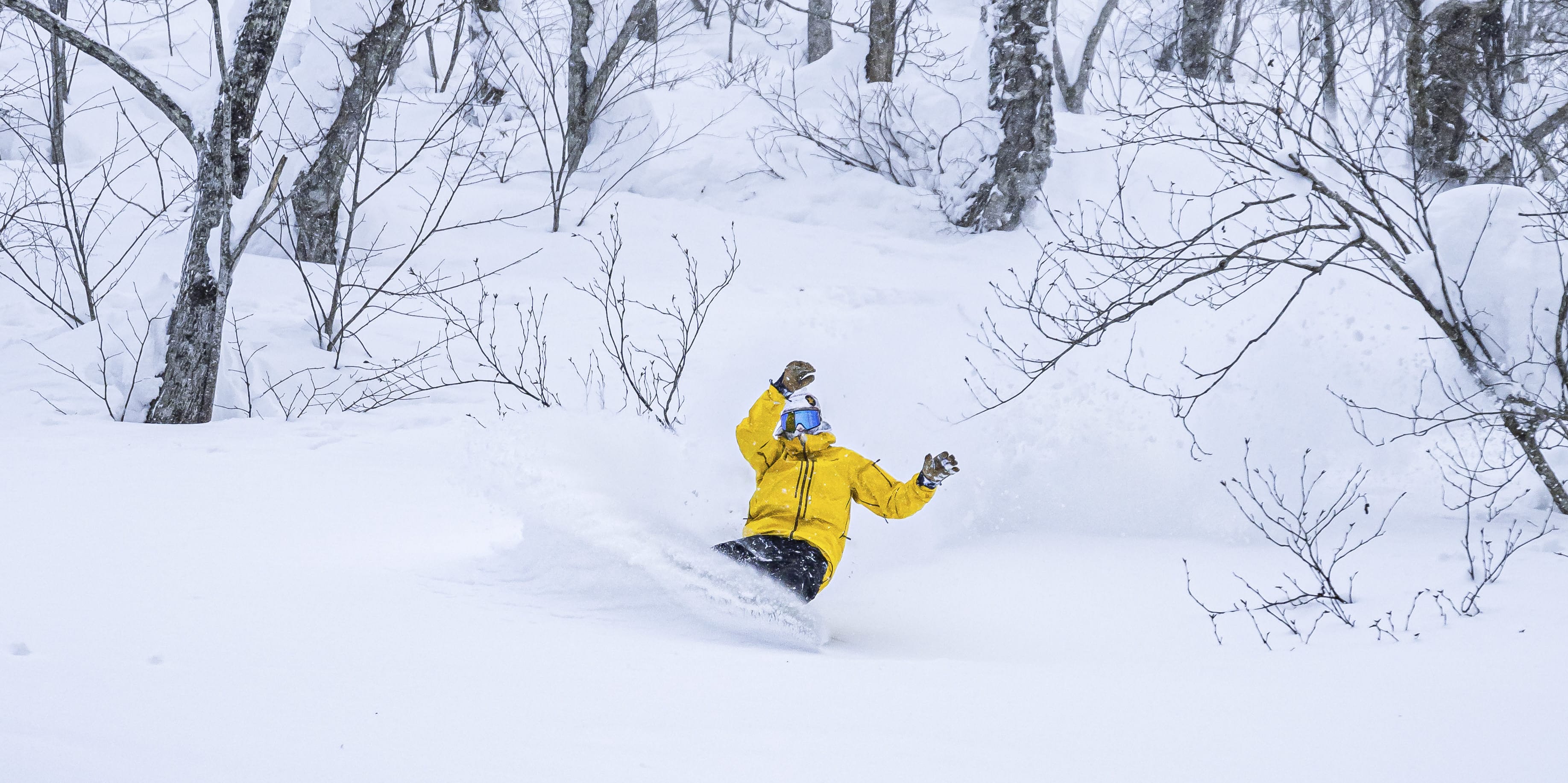 A person in a yellow jacket is snowboarding through a snowy forest.