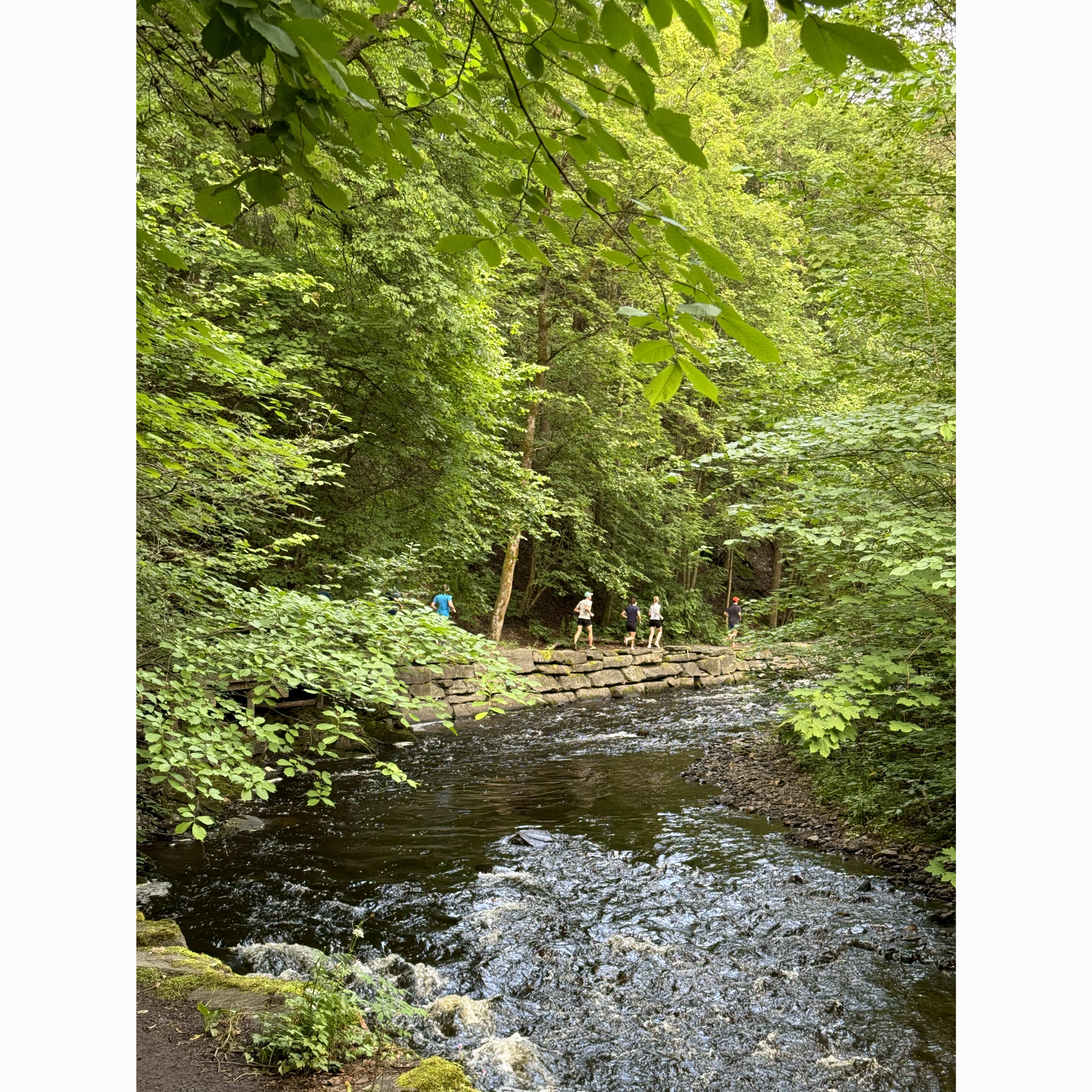 A group of people walking along a stone path next to a stream. Green foliage covers the ground and surrounds the path.