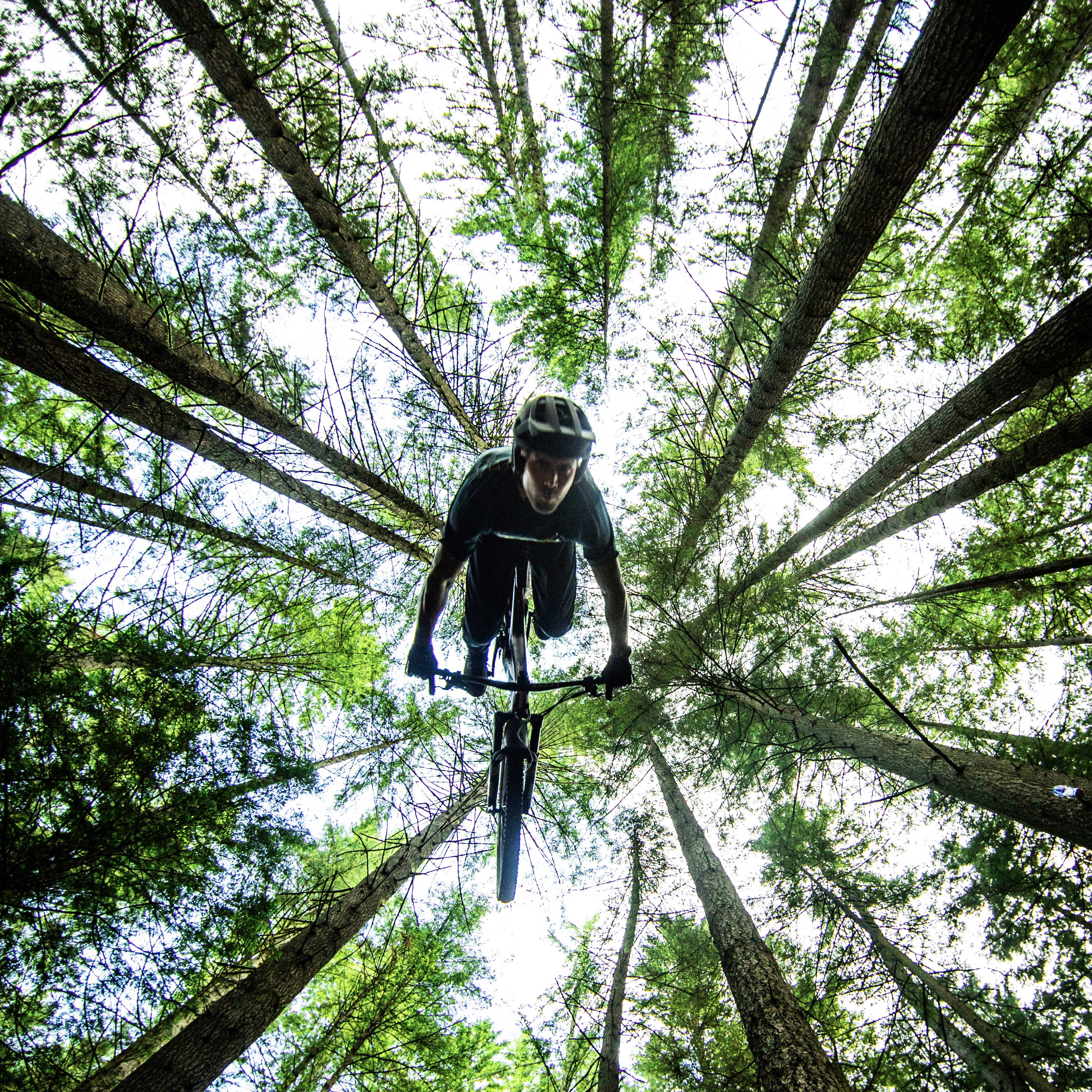 Low angle shot of a mountain biker in Norrøna clothing riding through tall trees against a bright sky.