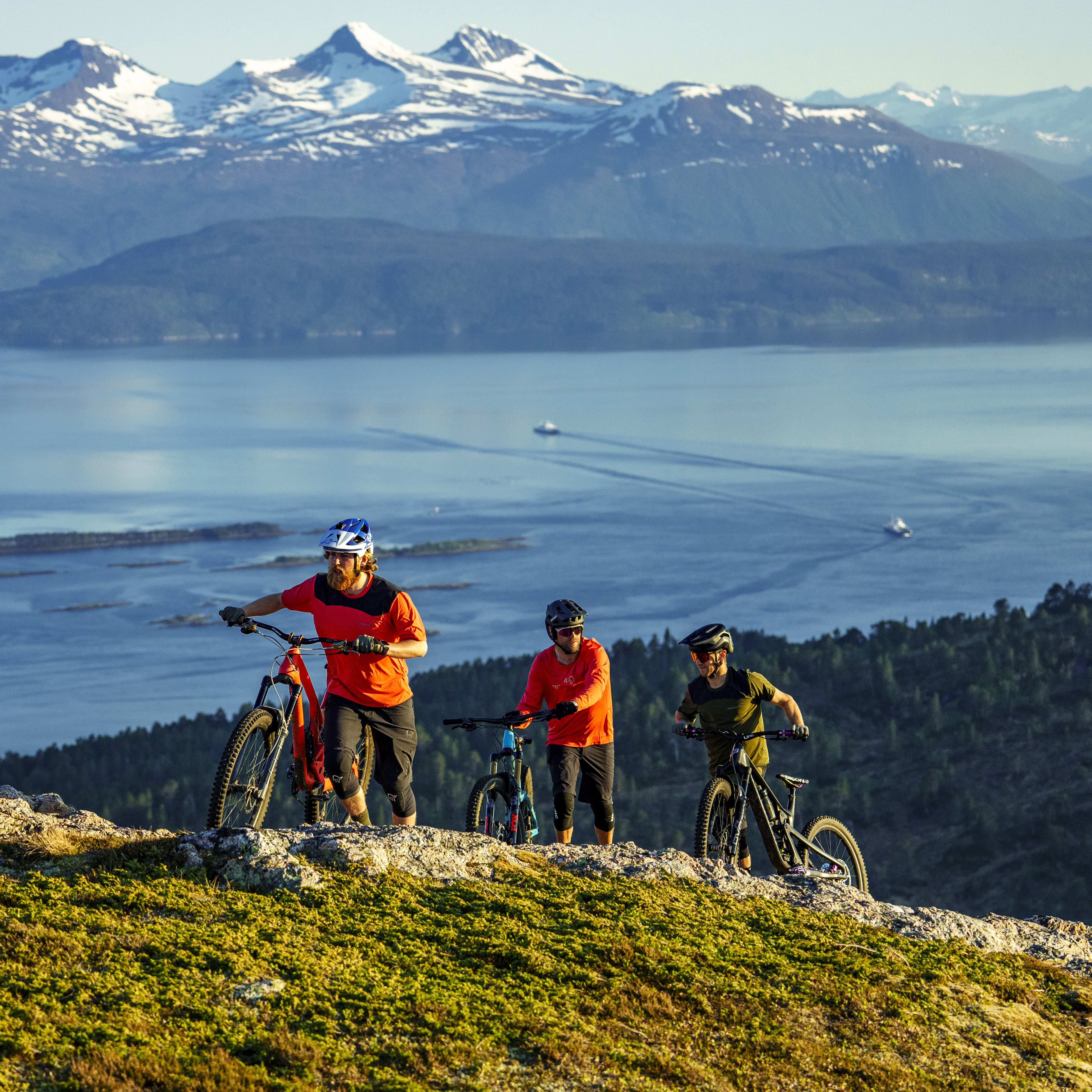 Three people on mountain bikes on a grassy hill with a fjord and mountains in the background. 

