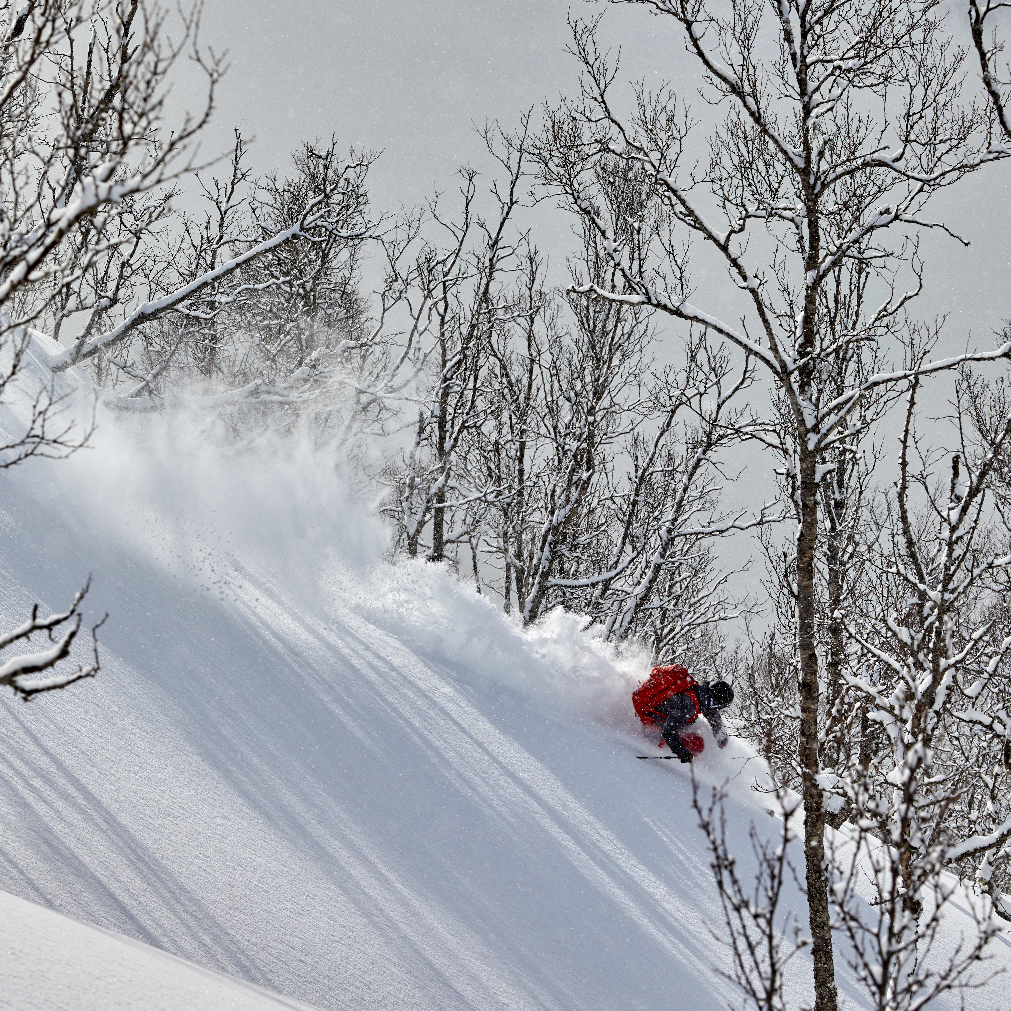 A skier in a red Norrøna jacket makes a turn in fresh powder snow in a snowy mountain landscape. 
