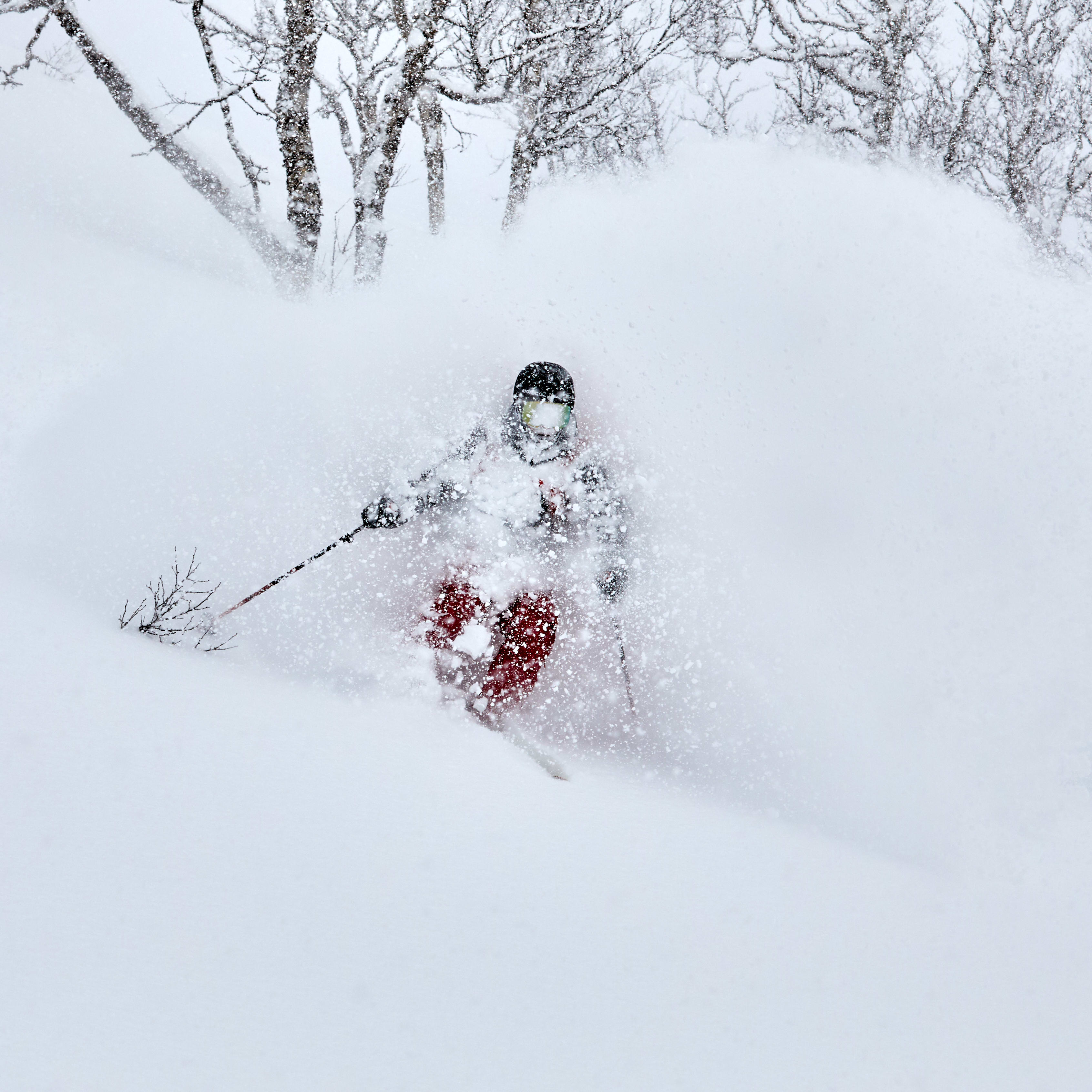 A skier in red Norrøna clothing skis through a snow-filled landscape. 
