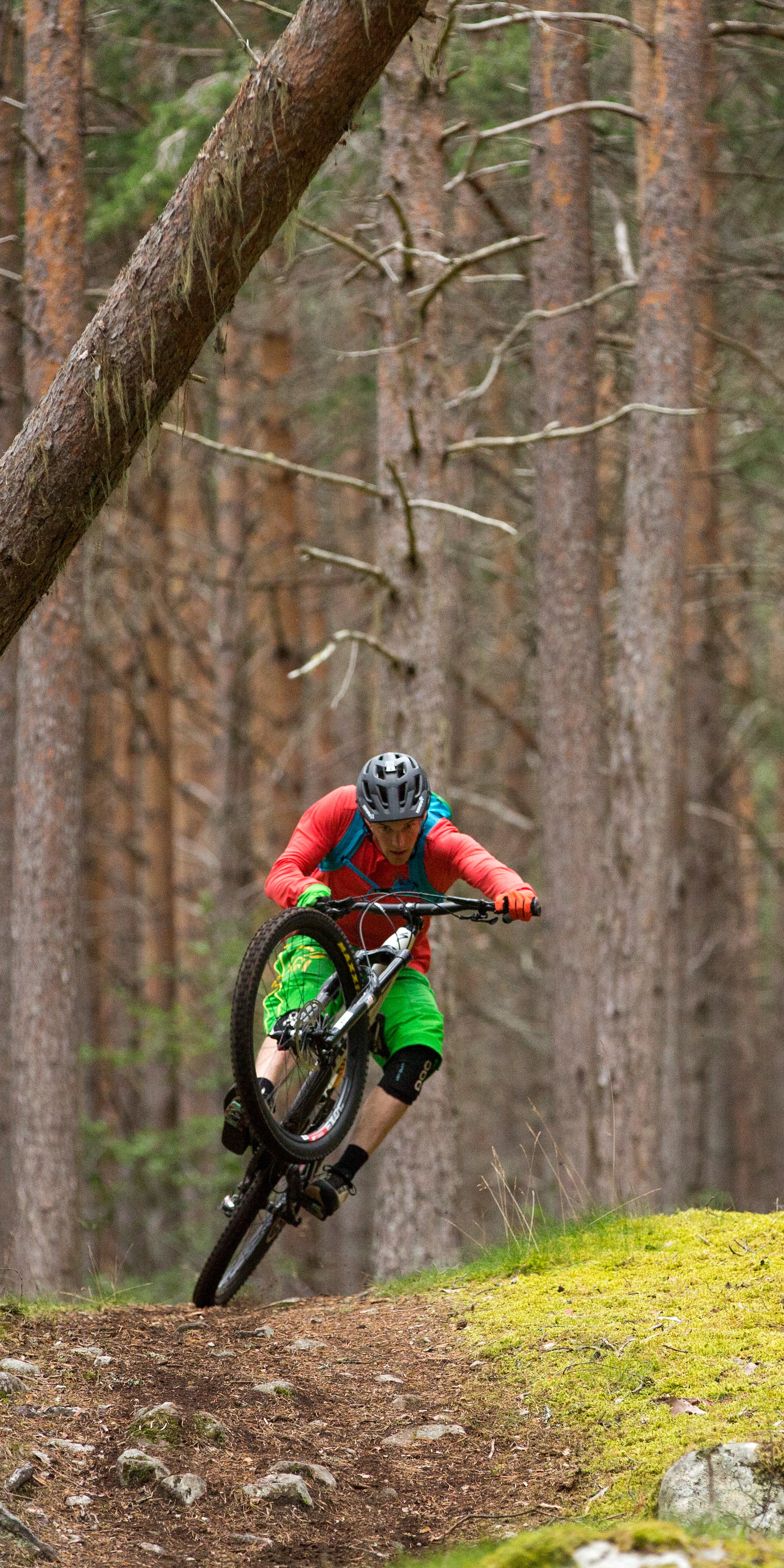 A person in Norrøna gear rides a mountain bike on a trail through a forest. 
