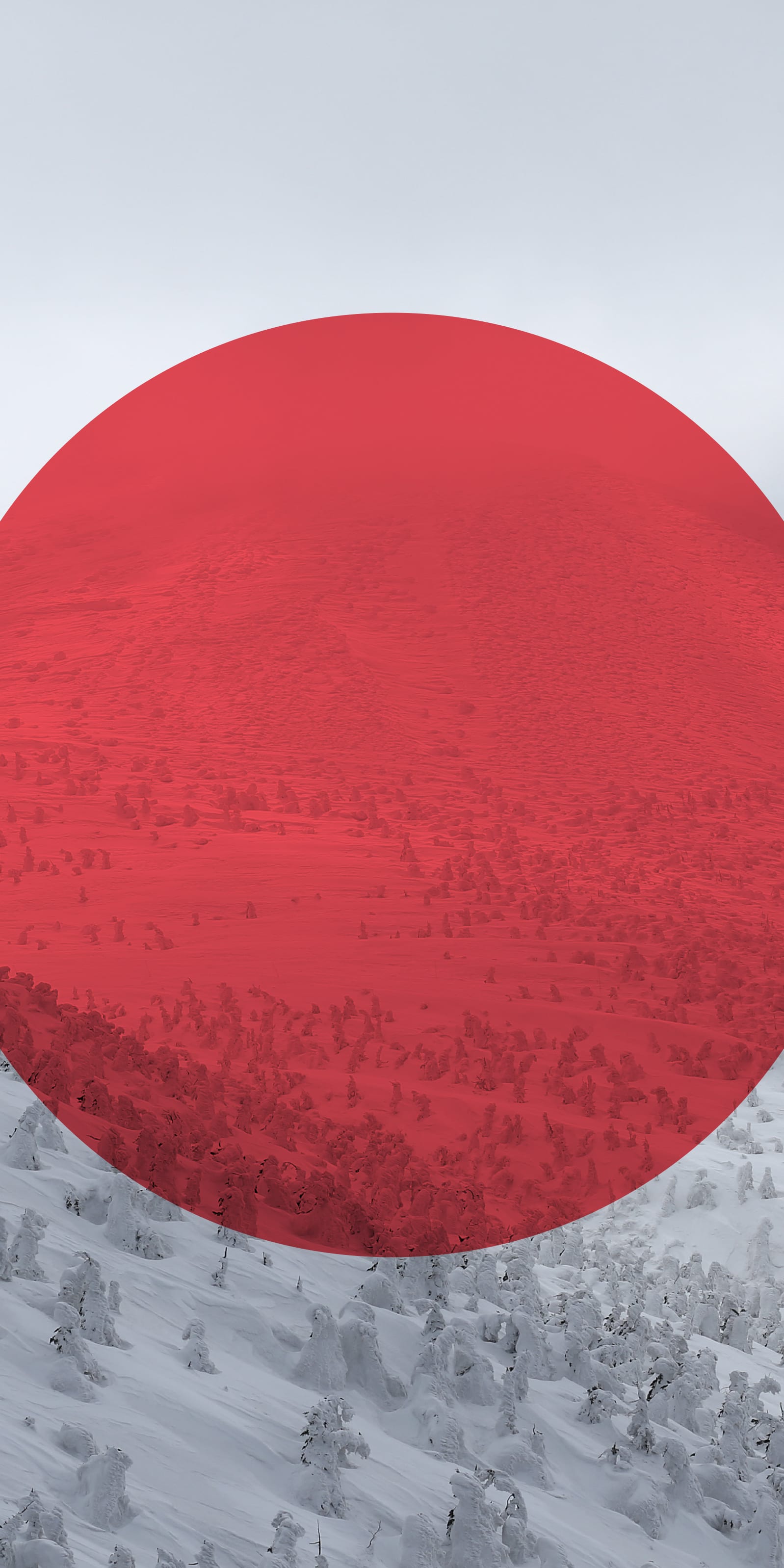 A red circle superimposed over a snowy mountain landscape. The circle partially obscures a snowy slope covered in frost-covered trees. 
