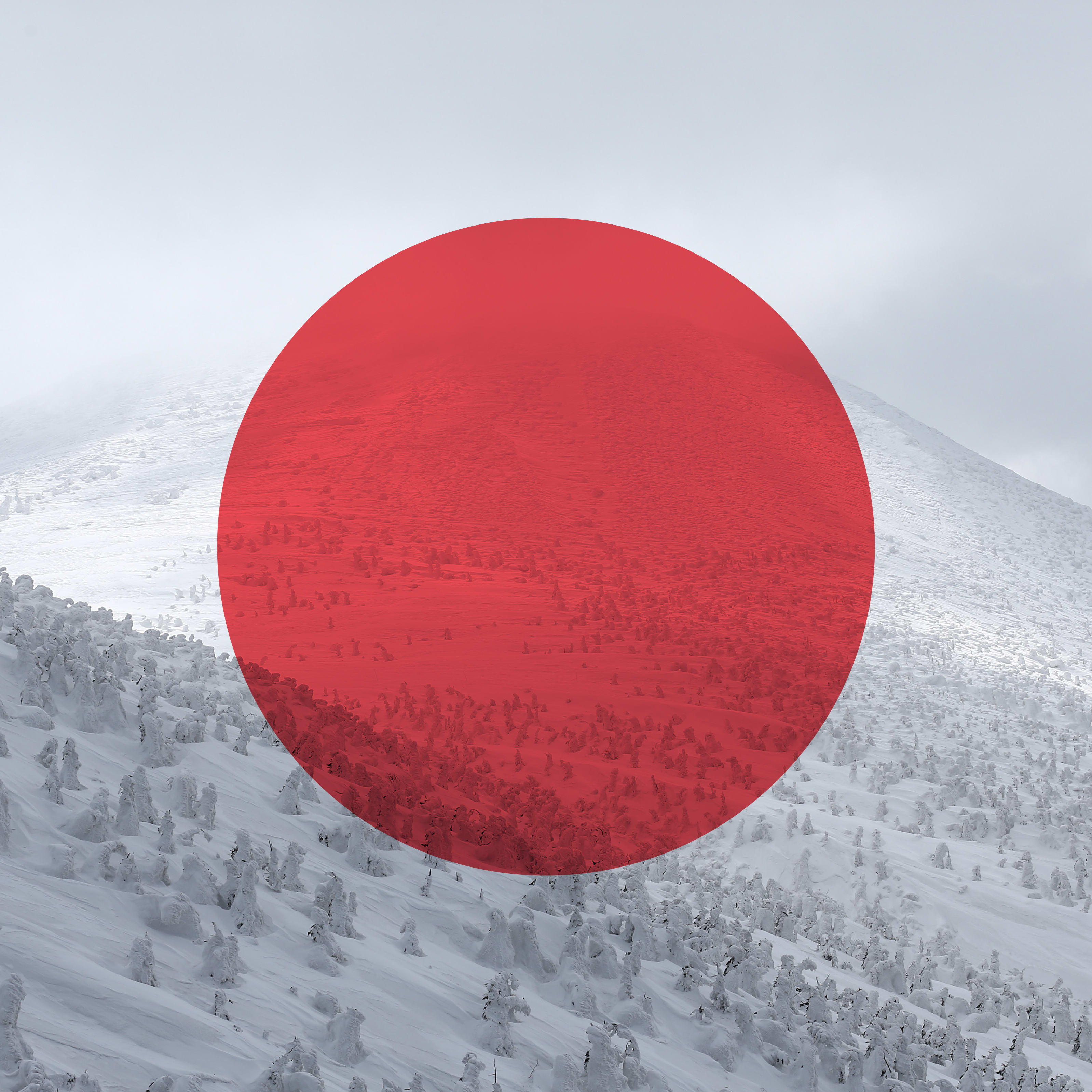 A red circle superimposed over a snowy mountain landscape. The circle partially obscures a snowy slope covered in frost-covered trees. 
