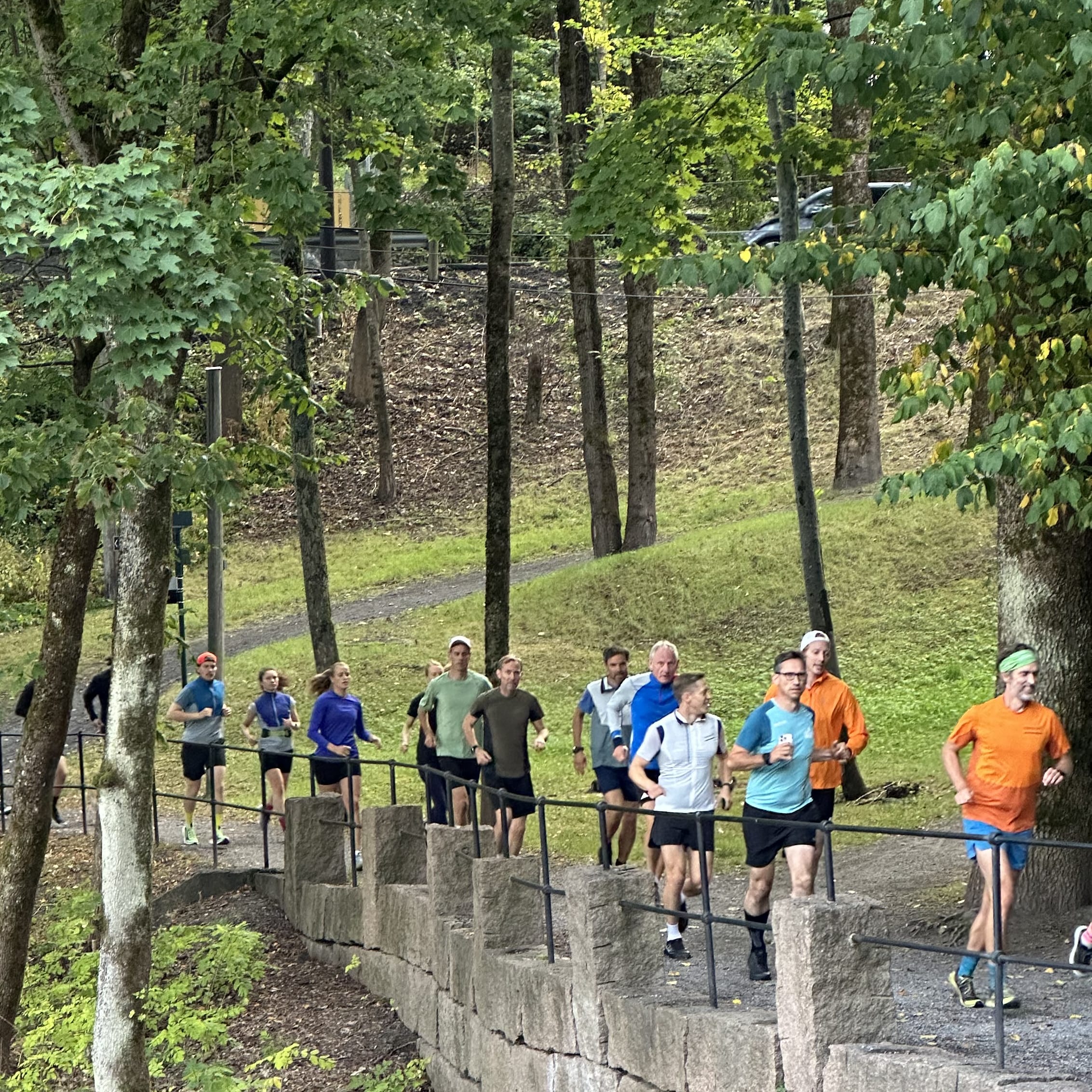 A group of people run up stone steps with metal railings through a park. The runner at the top is wearing a Norrøna orange shirt.