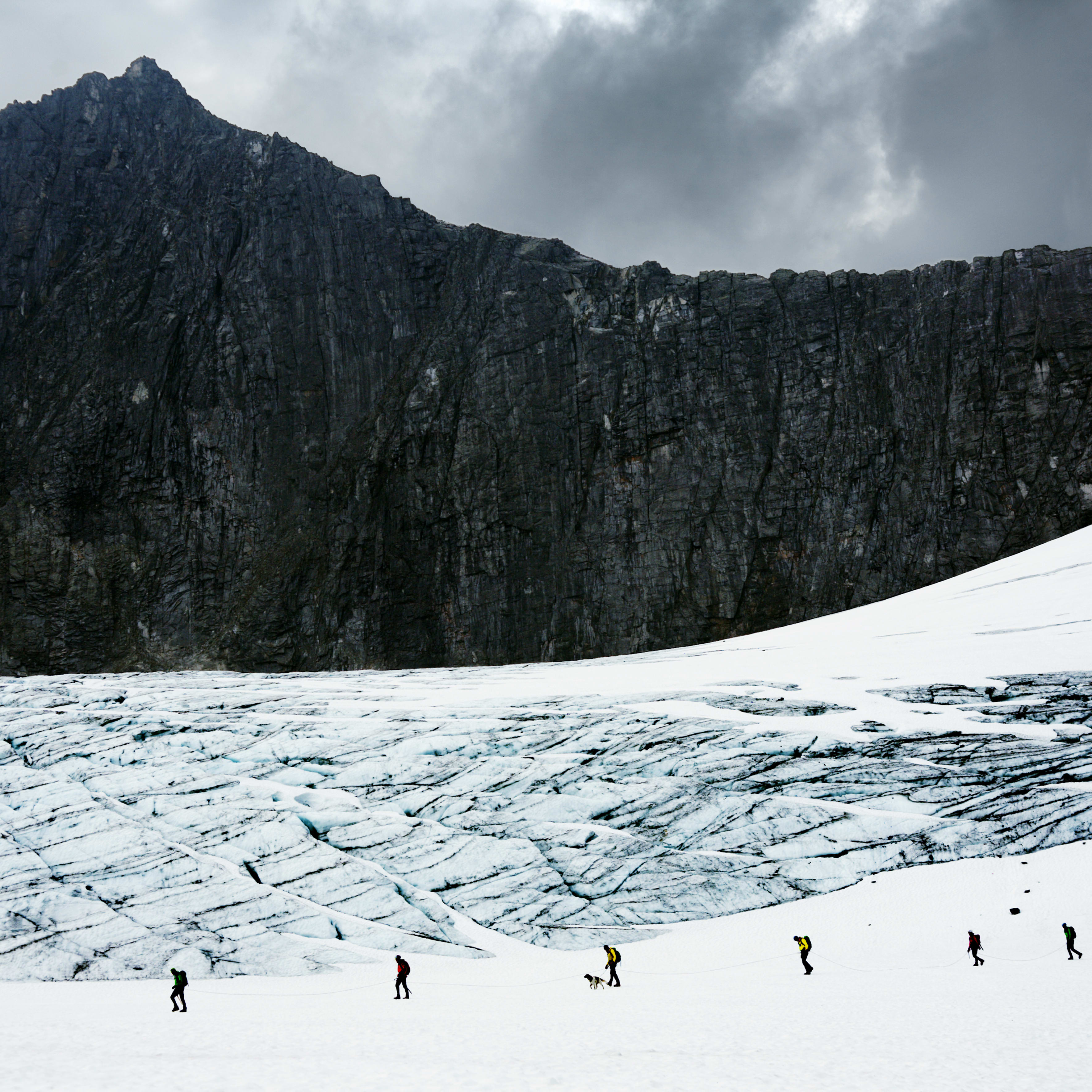 A group of people hike across a snow-covered glacier in front of a steep mountain. A dog walks with them. 
