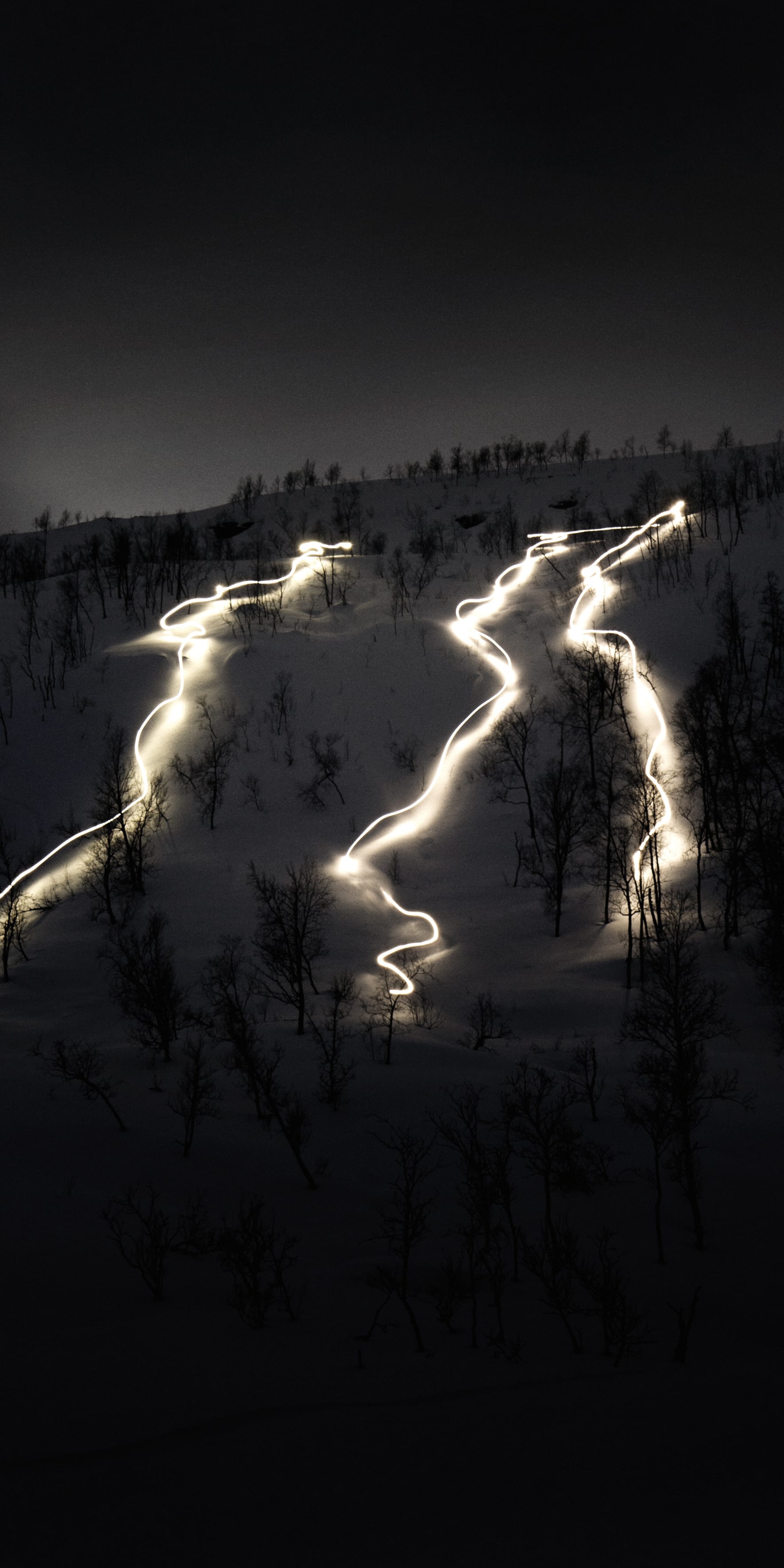 Long exposure photo of a snowy mountainside at night with three winding trails lit up by headlamps. 

