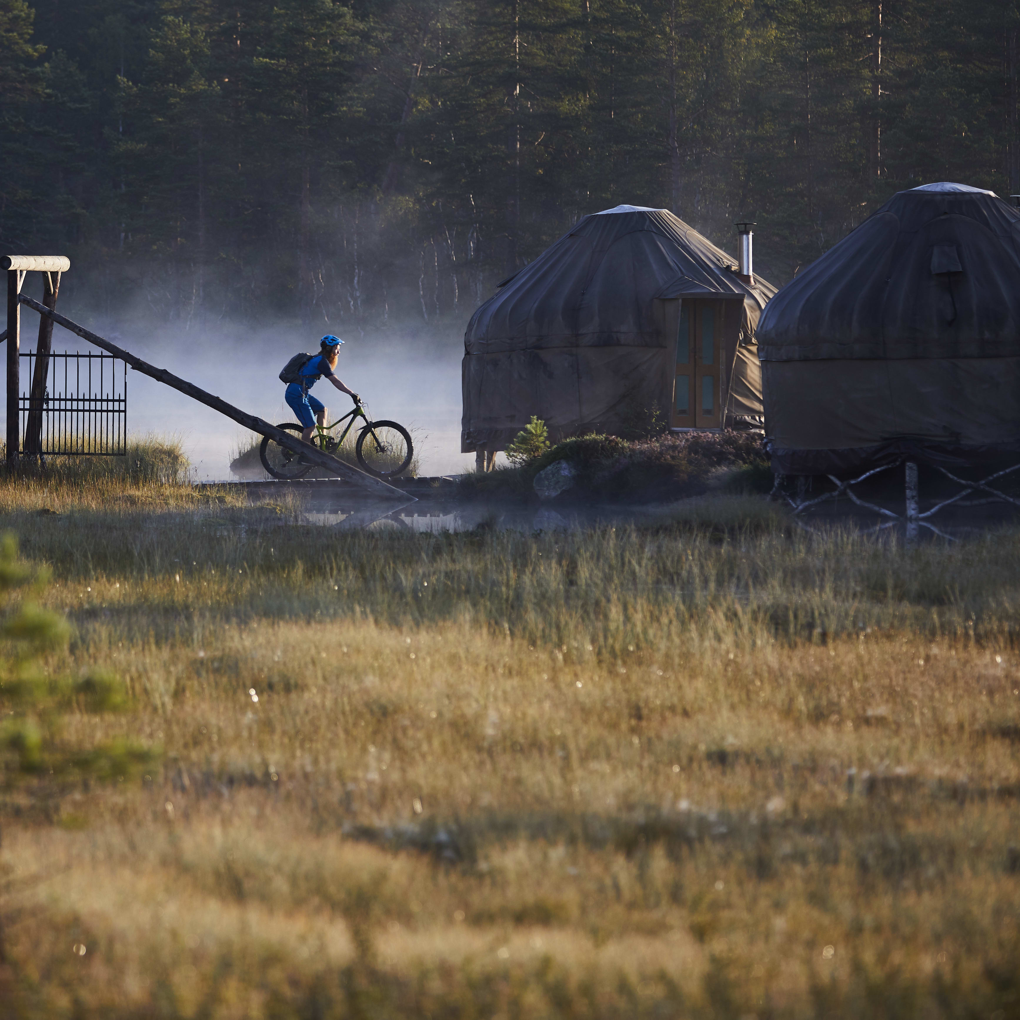 Fjørå-canvas -2017