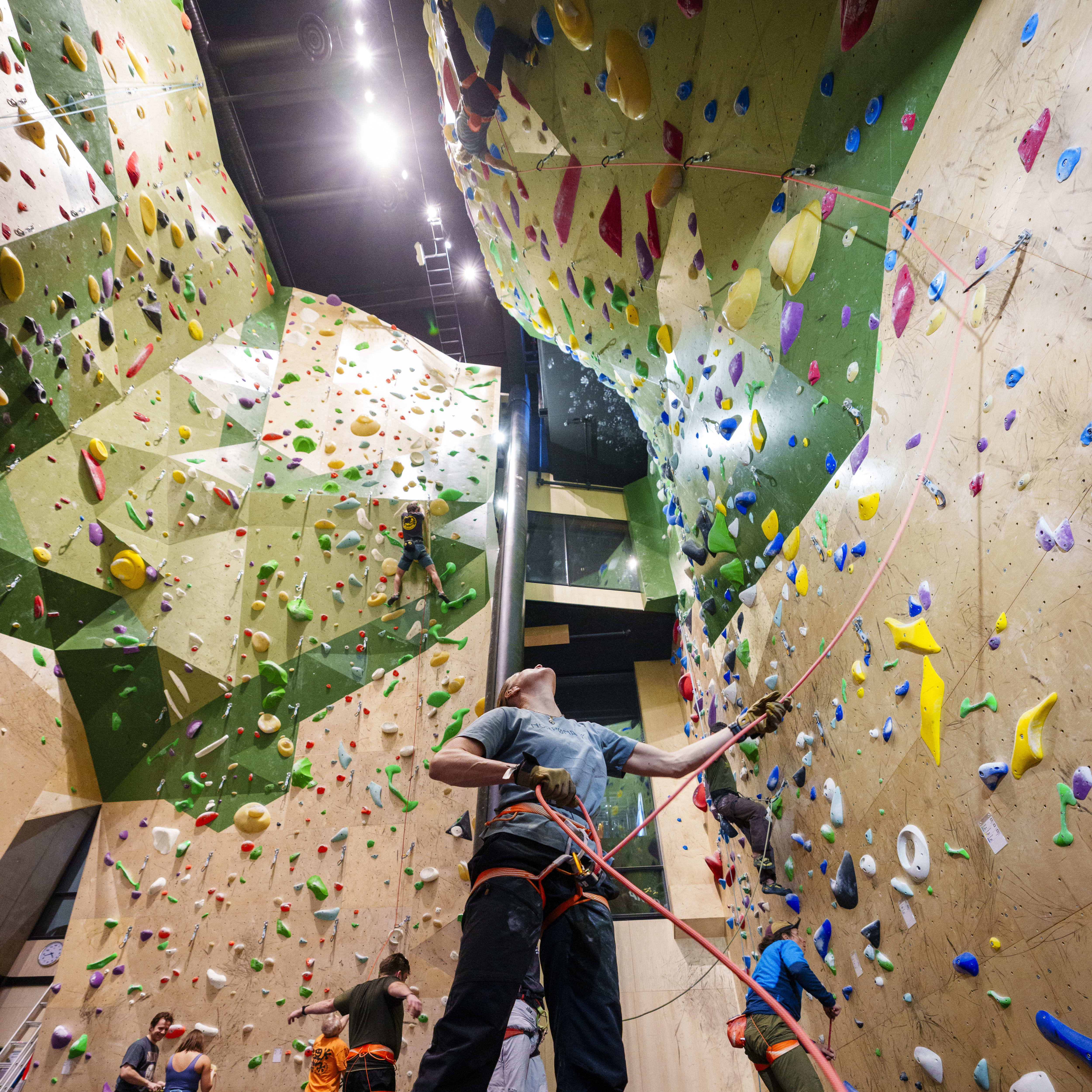 People indoor rock climbing on a colorful wall, wearing climbing gear. One person is wearing Norrøna pants.