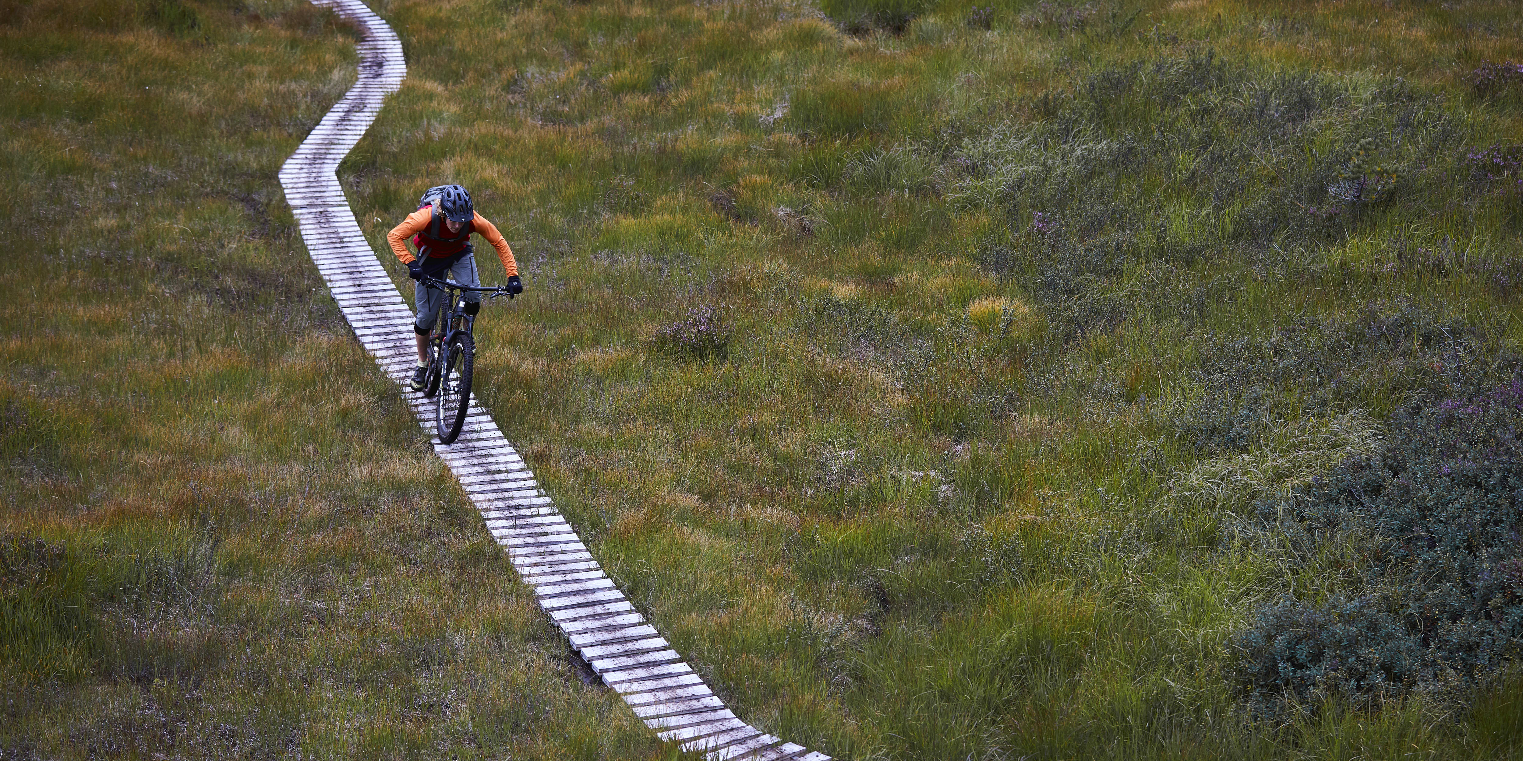A person riding a mountain bike on a wooden path through a field of grass.  
