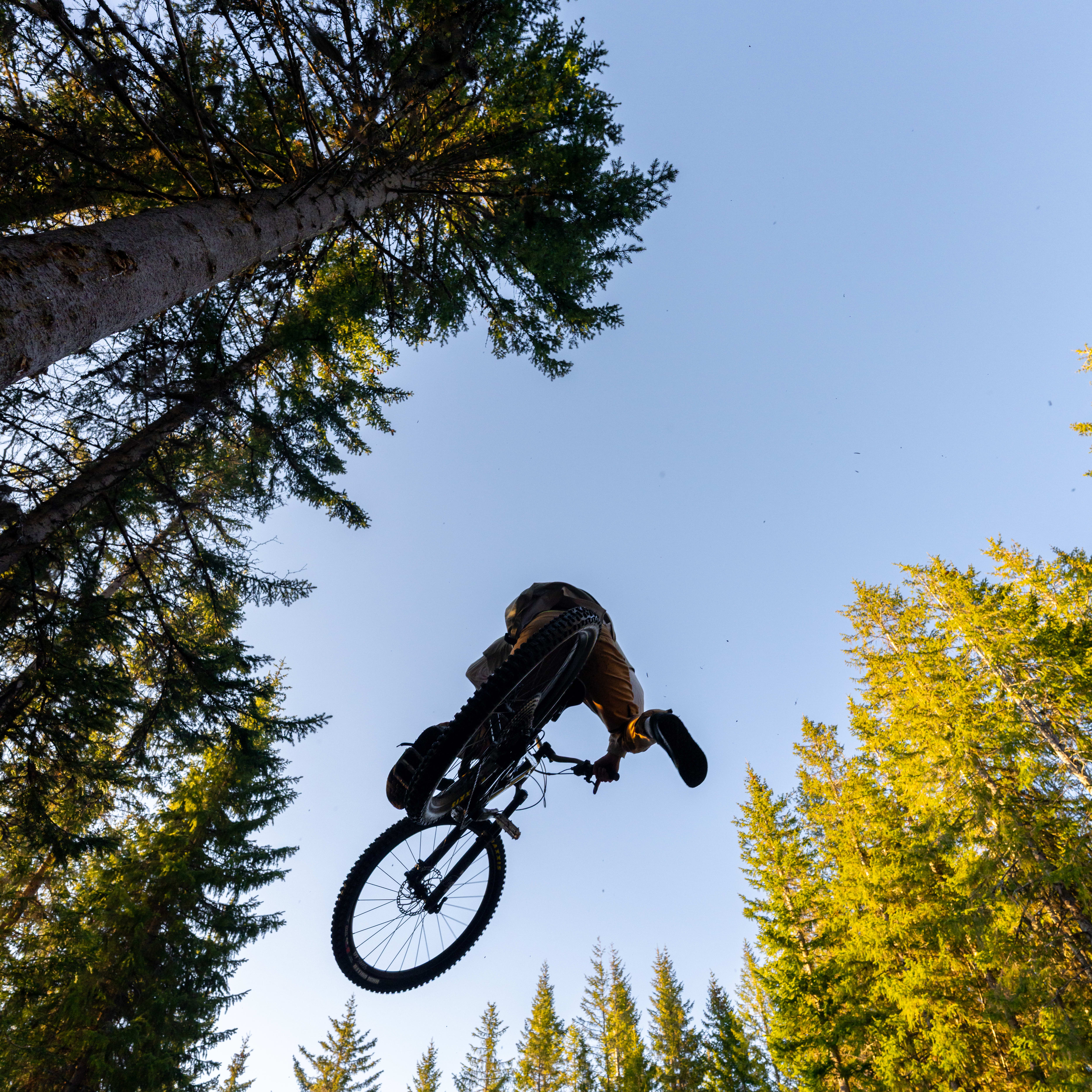 Low-angle shot of a person on a mountain bike mid-air against a blue sky and trees. The person is wearing Norrøna pants.
