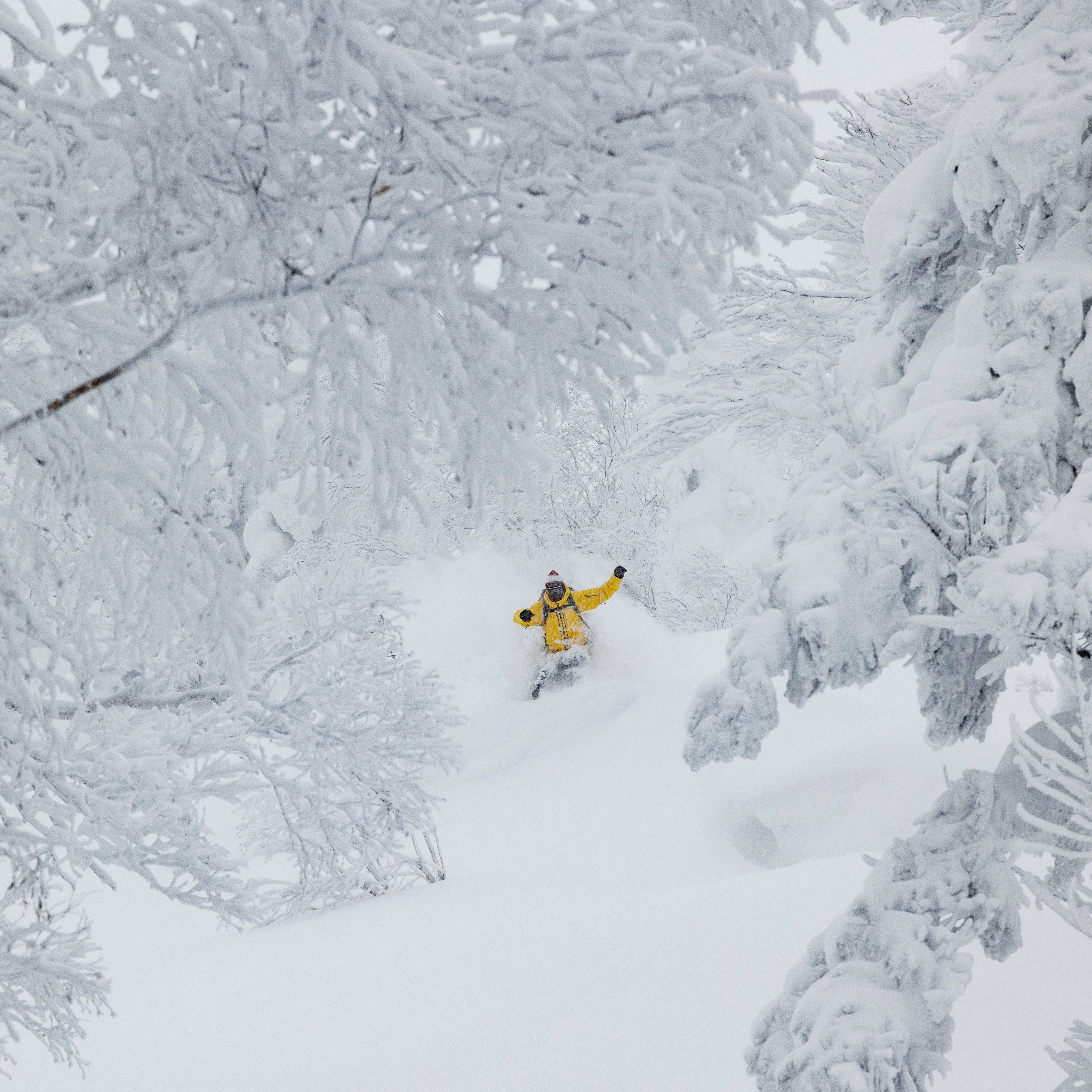 A person in a yellow Norrøna jacket skis through a snowy forest.