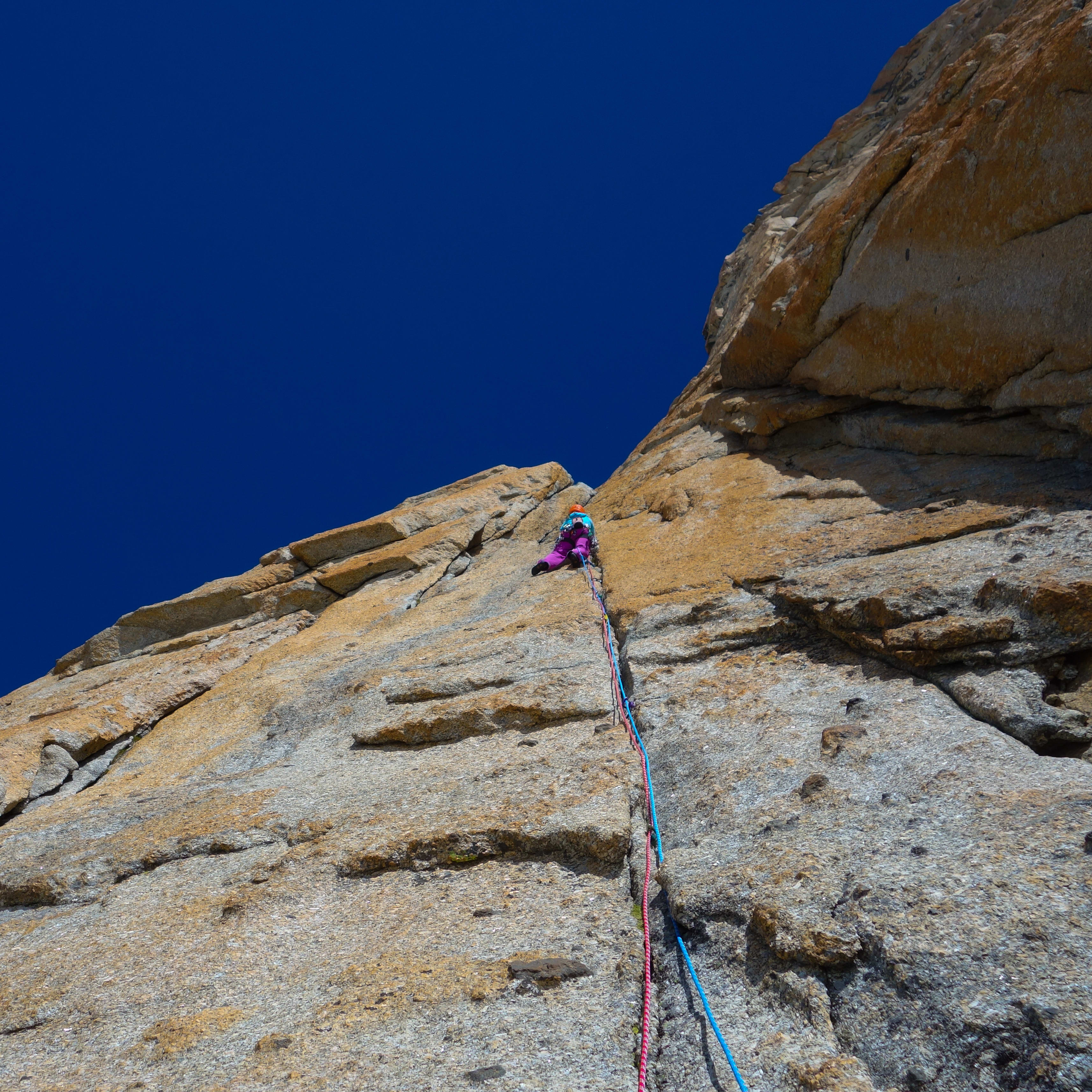 A rock climber in Norrøna gear ascends a steep, tan rock face against a clear blue sky, secured by a blue and pink climbing rope.
