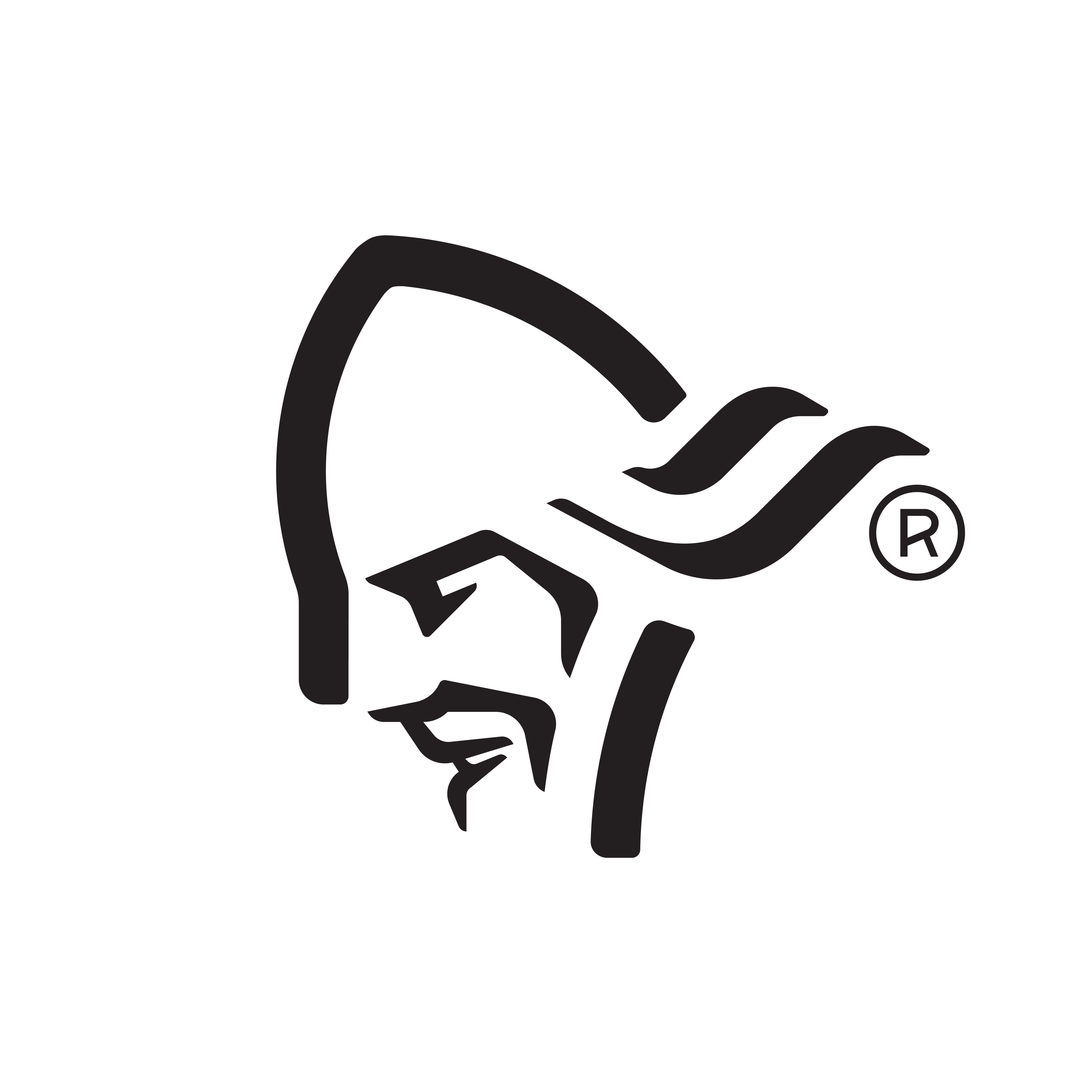 Black and white logo of Norrøna, a head silhouette with flowing hair and a registered trademark symbol.
