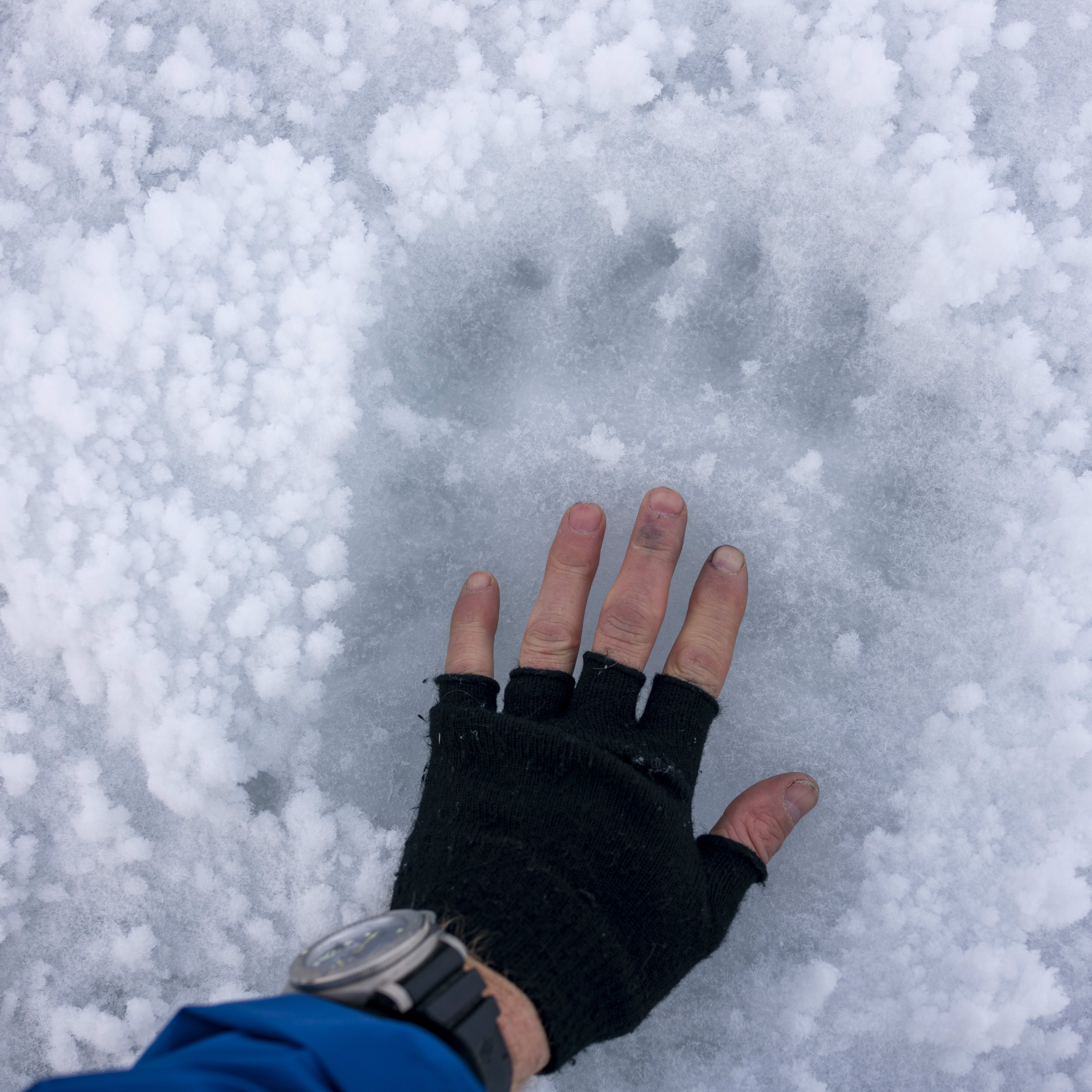 Hand in a Norrøna glove and a watch over frozen water with snow. Skis are visible on the edge of the image.
