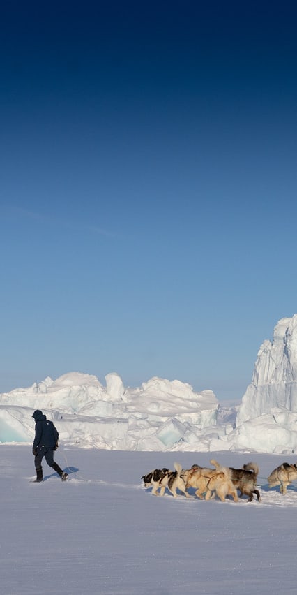 A person walks on a snowy landscape, a dog sledding team with a Norrøna backpack follows. The team is in front of a large ice berg.