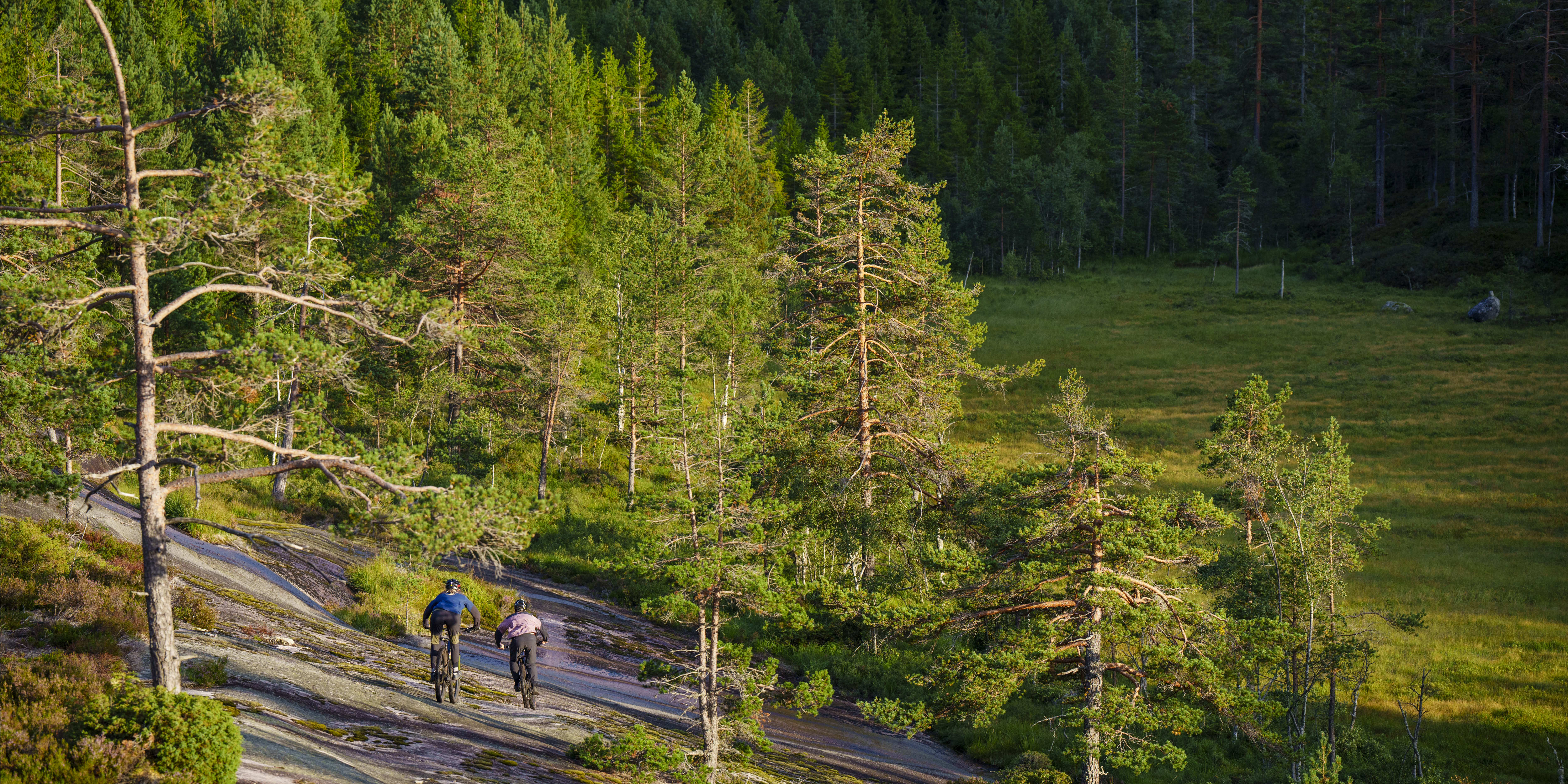 Two people riding bikes on a rocky path in the forest. They are both wearing helmets and Norrøna gear. The path leads down towards a grassy area.  

