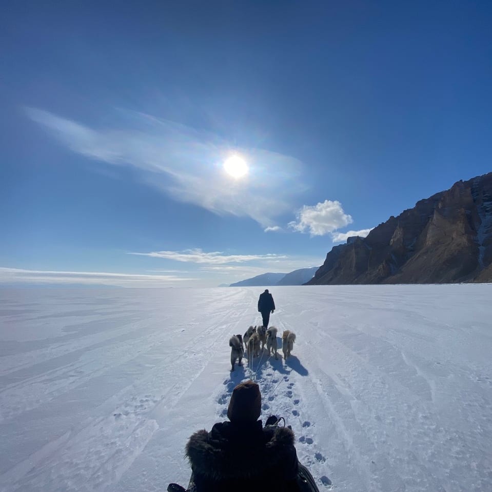 A person in a Norrøna jacket walks with a pack of dogs across a frozen lake. The sun shines brightly in the blue sky. 
