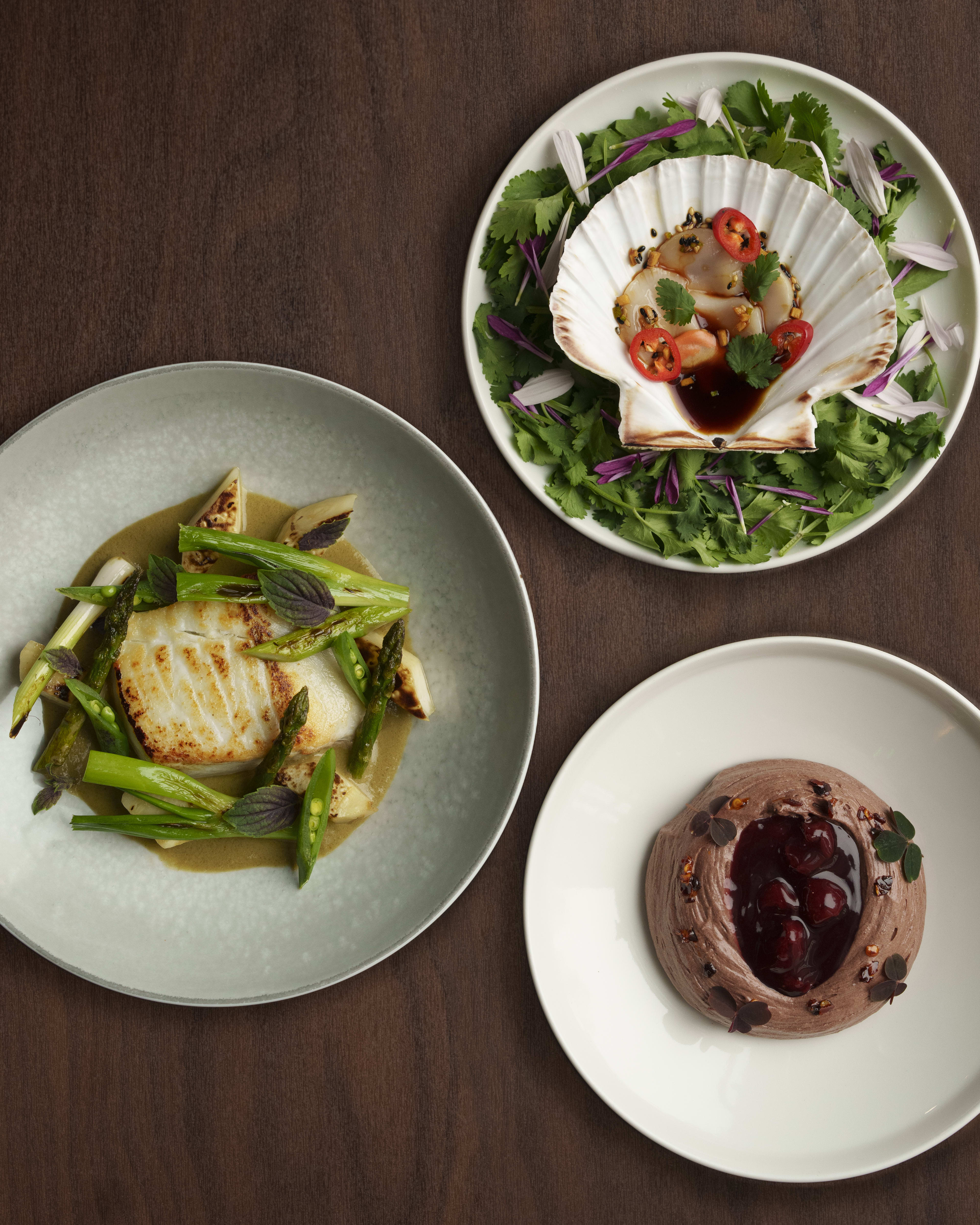 Overhead shot of three plates: fish with asparagus, scallops in a shell, and chocolate mousse with cherries on a wooden table.