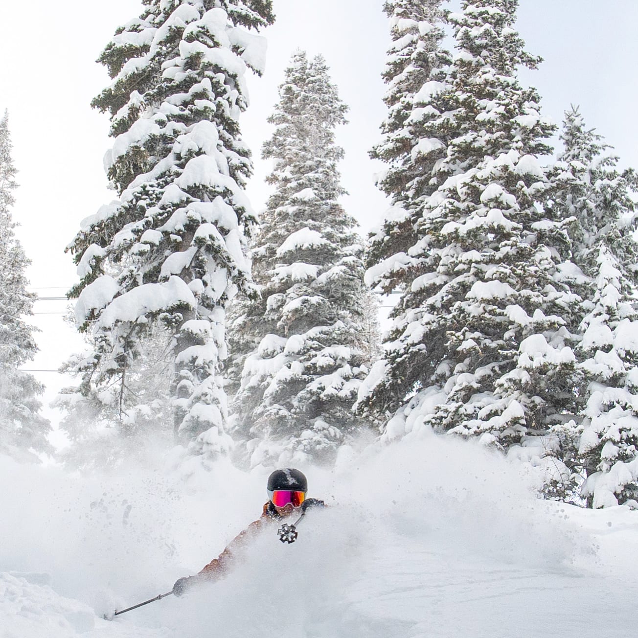 A skier in a Norrøna jacket and goggles is skiing through fresh powder, surrounded by snow-covered trees. 
