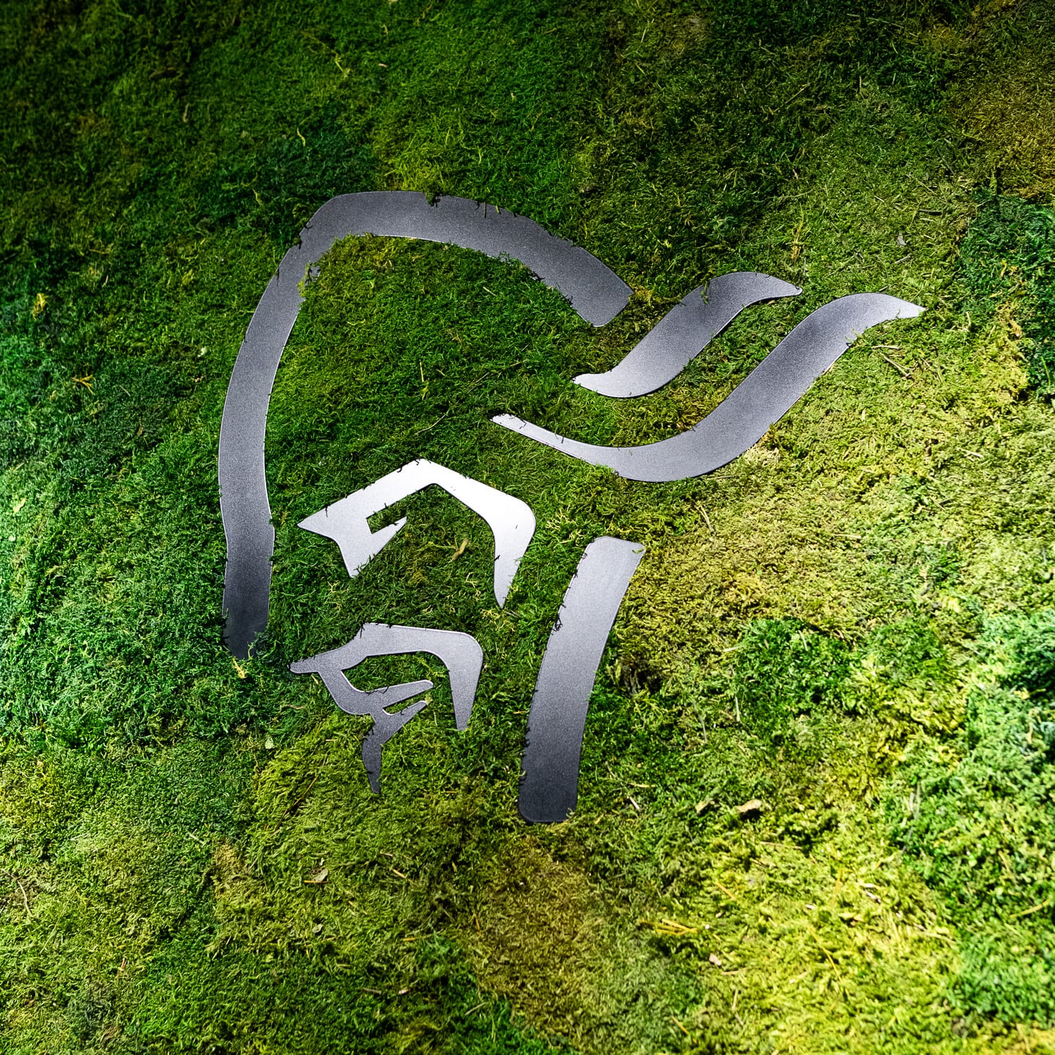 Norrøna logo, a stylized face in black on a green moss background. 
