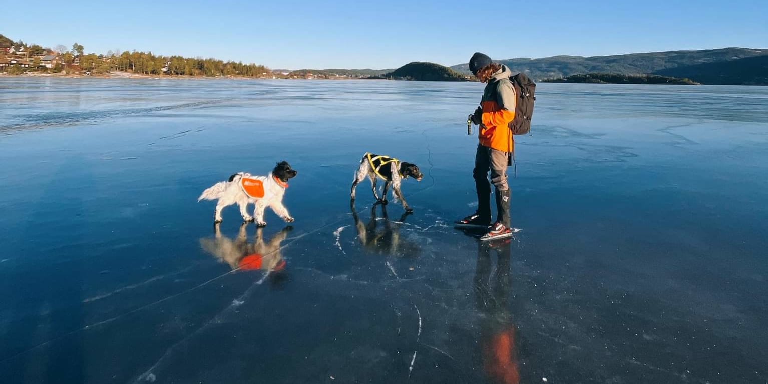 A person wearing an orange jacket and a backpack walks on a frozen lake with two dogs.  The sky is a bright blue and the lake is reflecting the light. 
