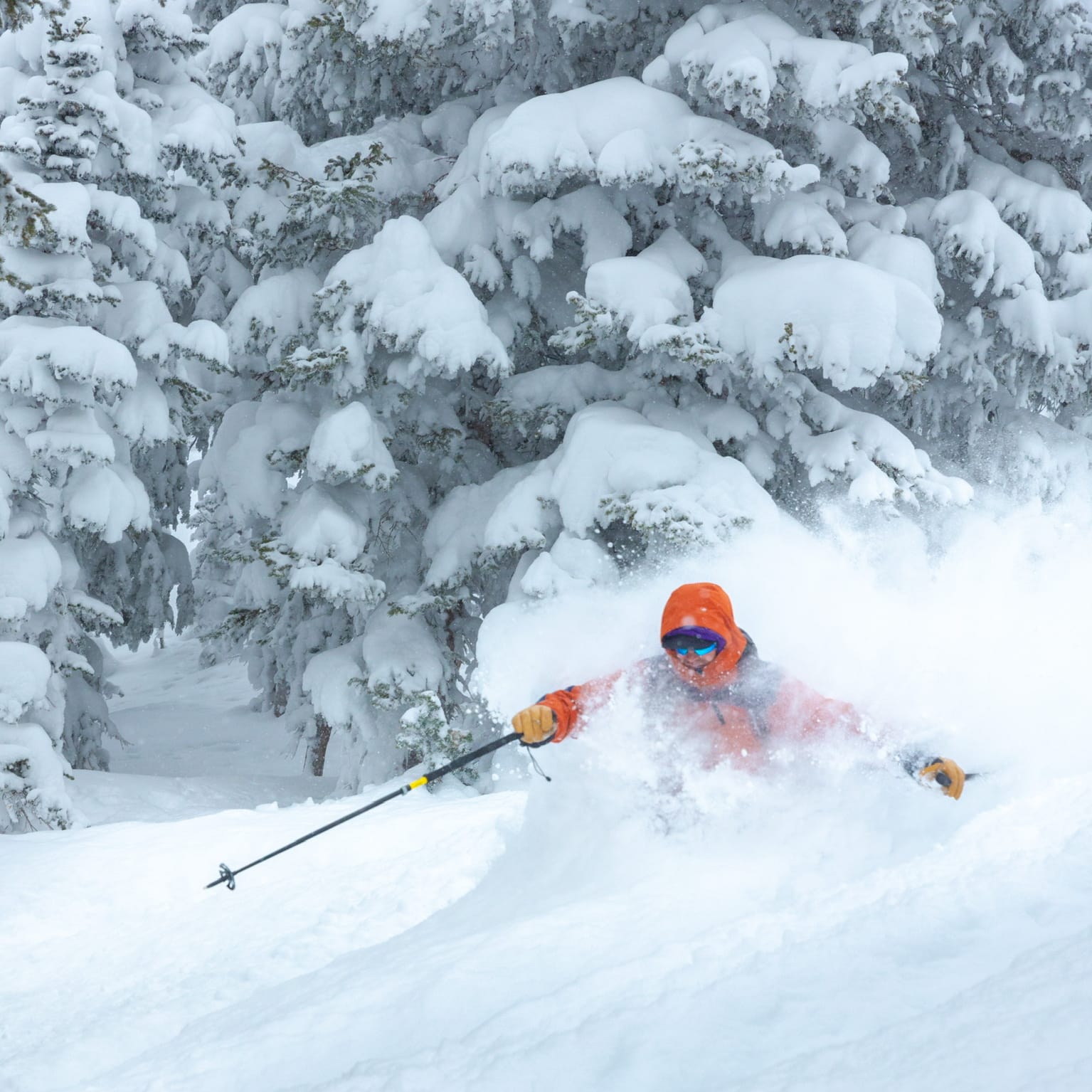 A skier in a Norrøna orange jacket navigates deep powder snow amidst snow-covered trees, creating a spray of snow.