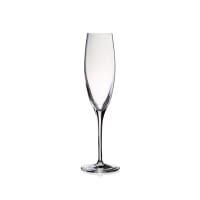 Benedikt Penelope champagneglass 170ml