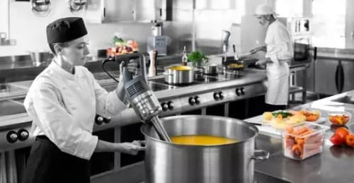 Vedlikehold Robot Coupe stavmikser