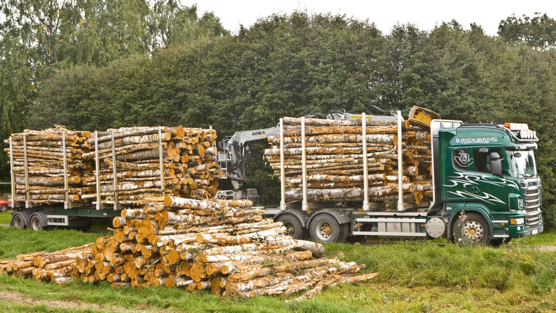 Norsk Ved Forum for vedprodusenter bidrar til riktigere importstatistikk for ved