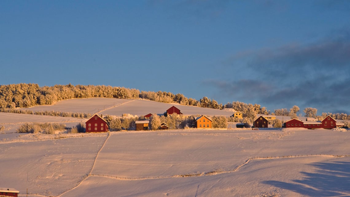 God Jul fra Norsk Ved Forum for vedprodusenter!