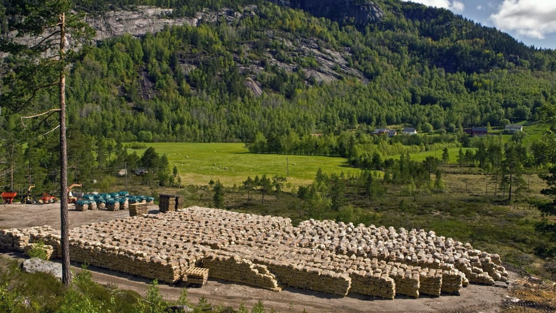 Norsk Ved Forum for vedprodusenter bidro til endring av importstatistikken