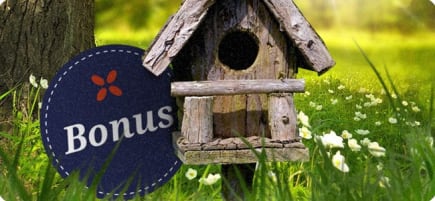 Dagens bonus på norske nettcasinoer