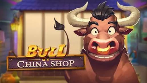 Bull in a China Shop