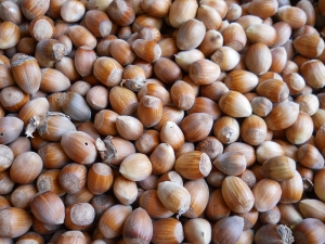 Test cases are our friends – But how large is your inventory?