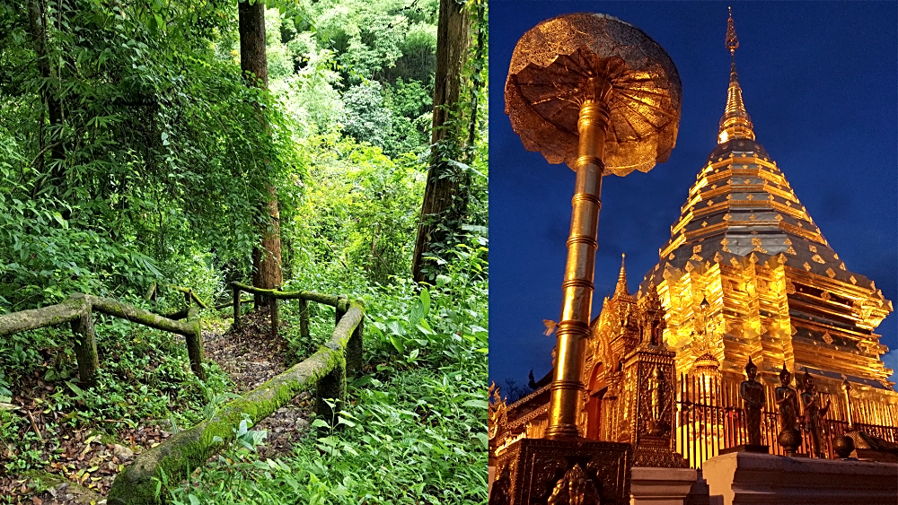 Doi Suthep & Trekking