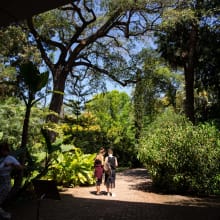 Jardín botánico