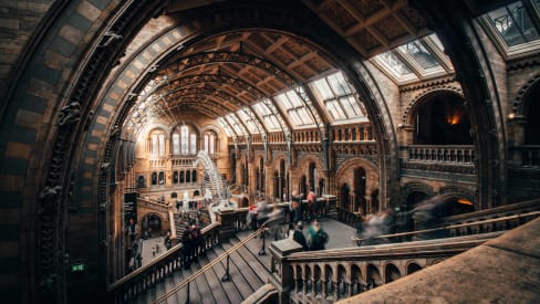 Interni del Natural History Museum a Londra