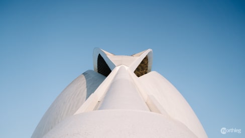 The shape of Palacio de las Artes Reina Sofia - City of Arts and Sciences in Valencia