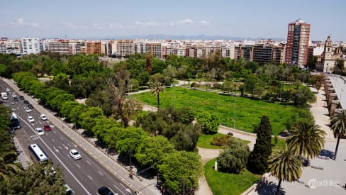 Turia Park seen from Torres de Serranos