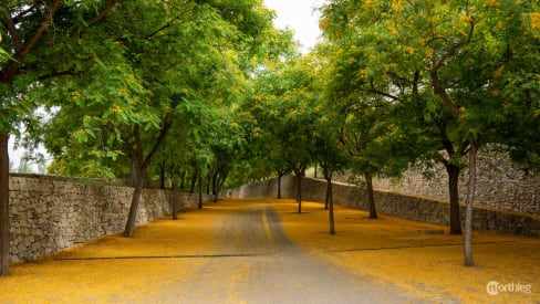 Parque de Cabecera in Campanar, Valencia