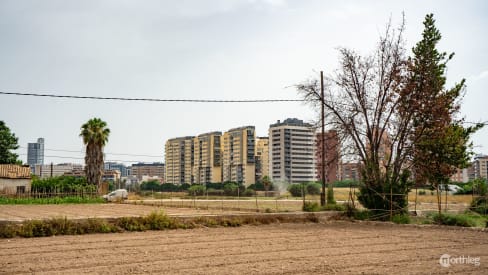 La cercanía del área urbana a las tierras de cultivo en Campanar, Valencia